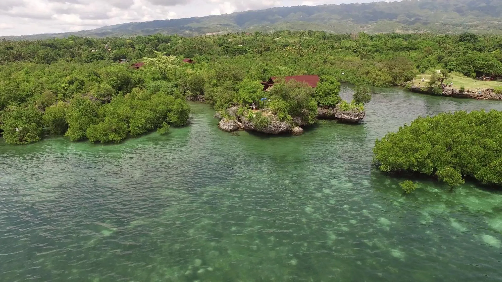 Natural landscape in Eskapo Verde Lodge Moalboal