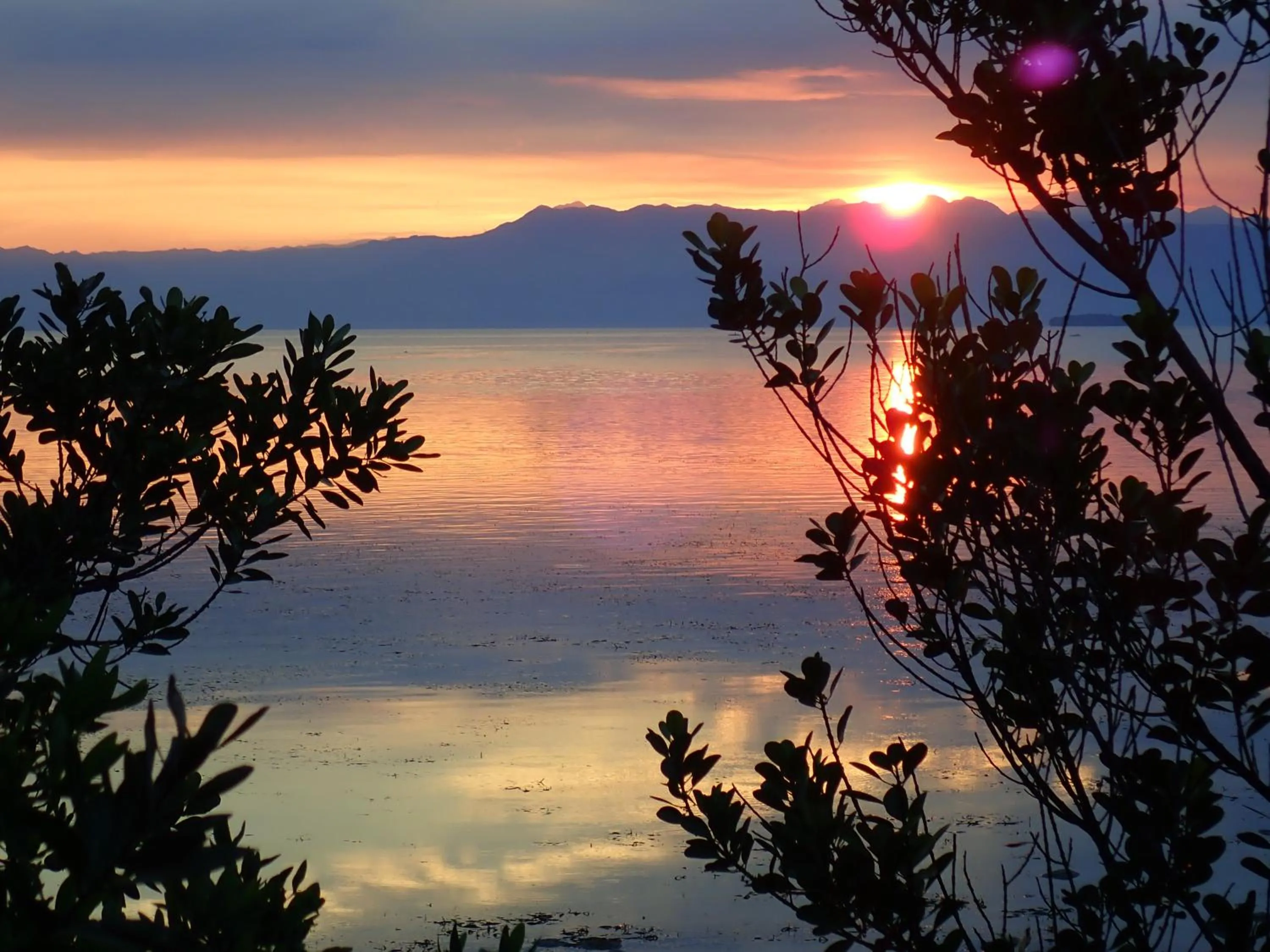 Natural landscape in Eskapo Verde Lodge Moalboal