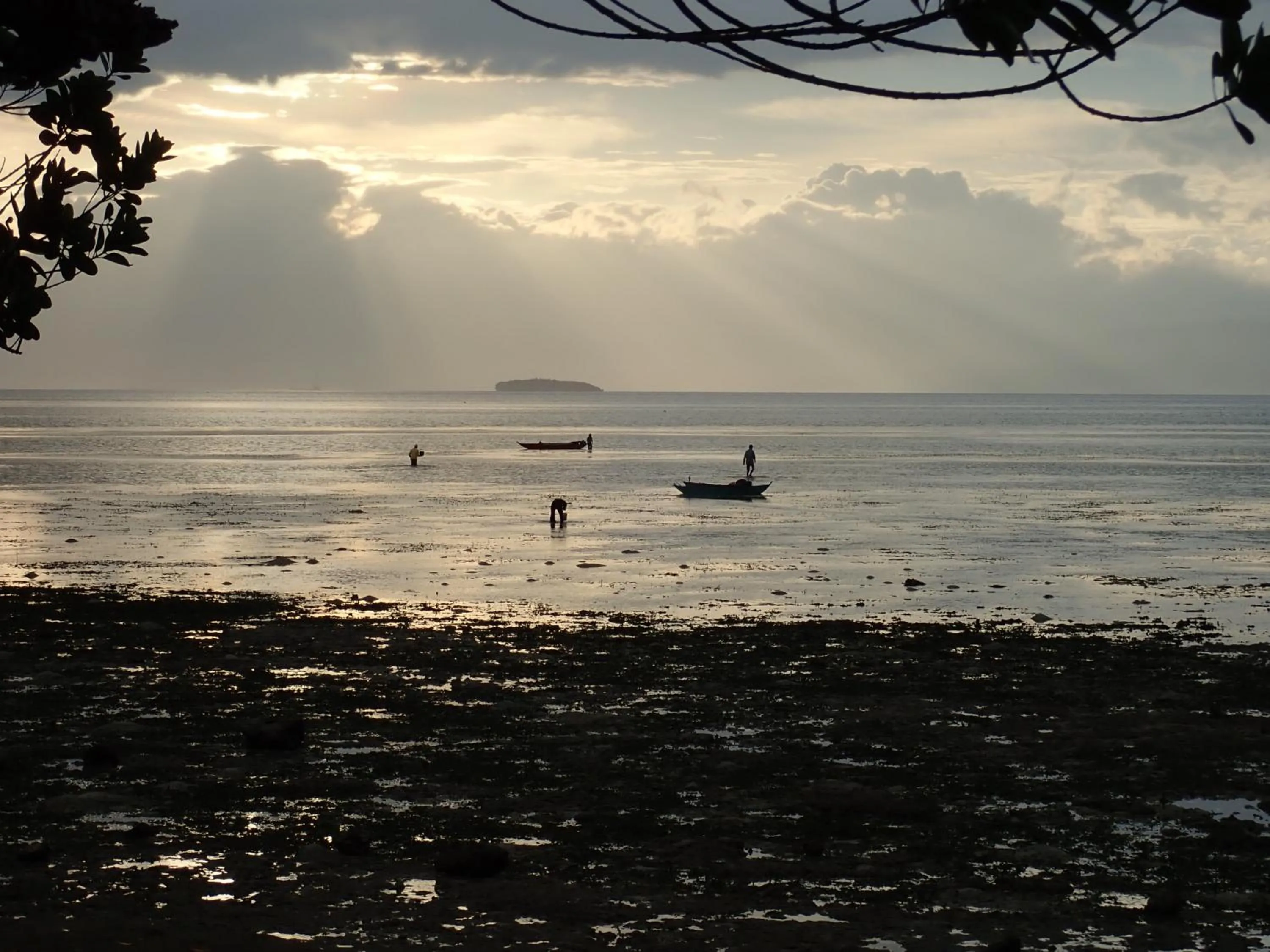 Natural landscape in Eskapo Verde Lodge Moalboal