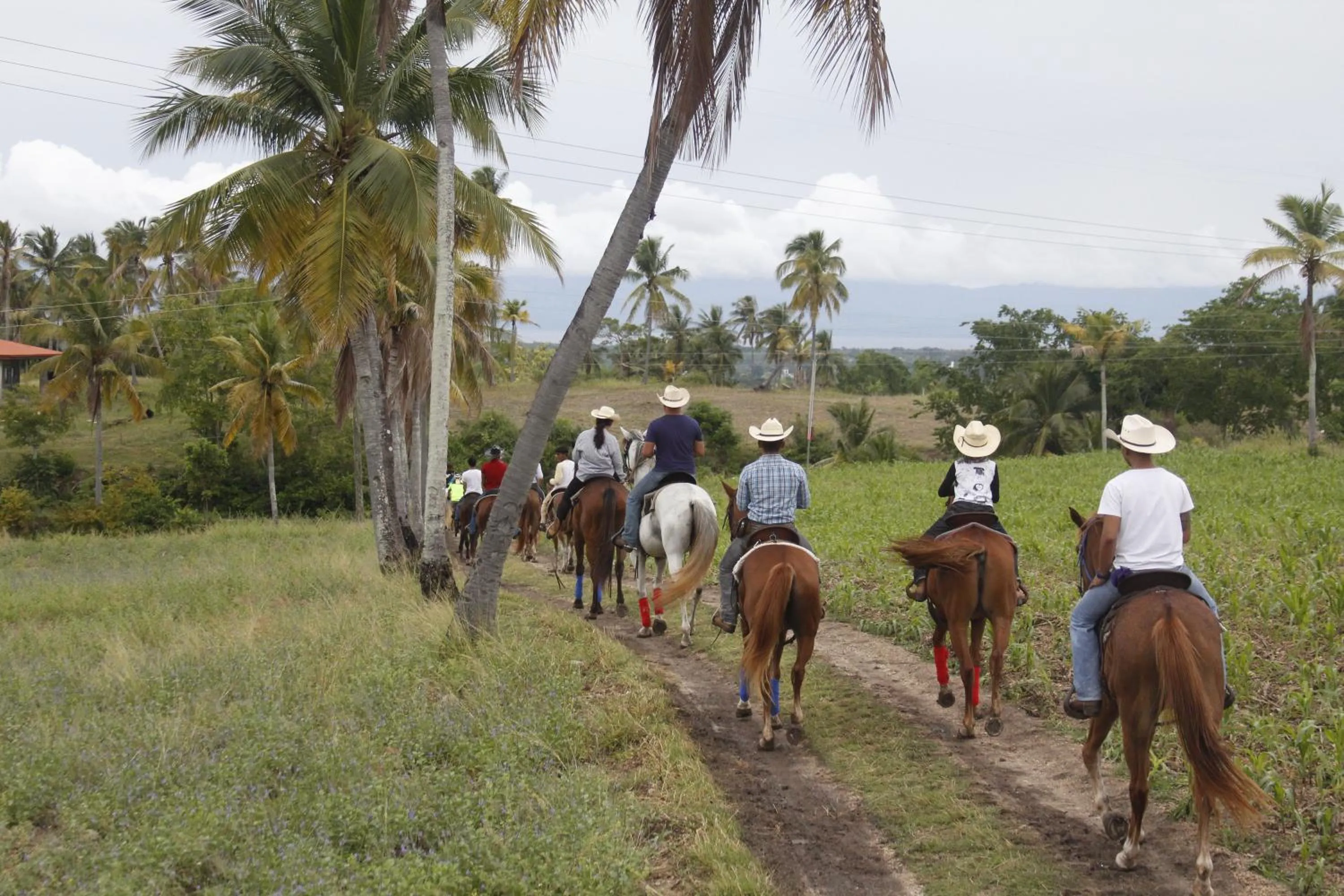 Horse-riding in Eskapo Verde Lodge Moalboal