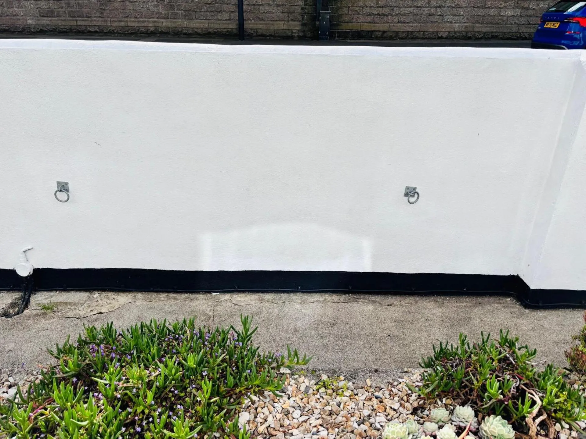 Garden in Carnson House