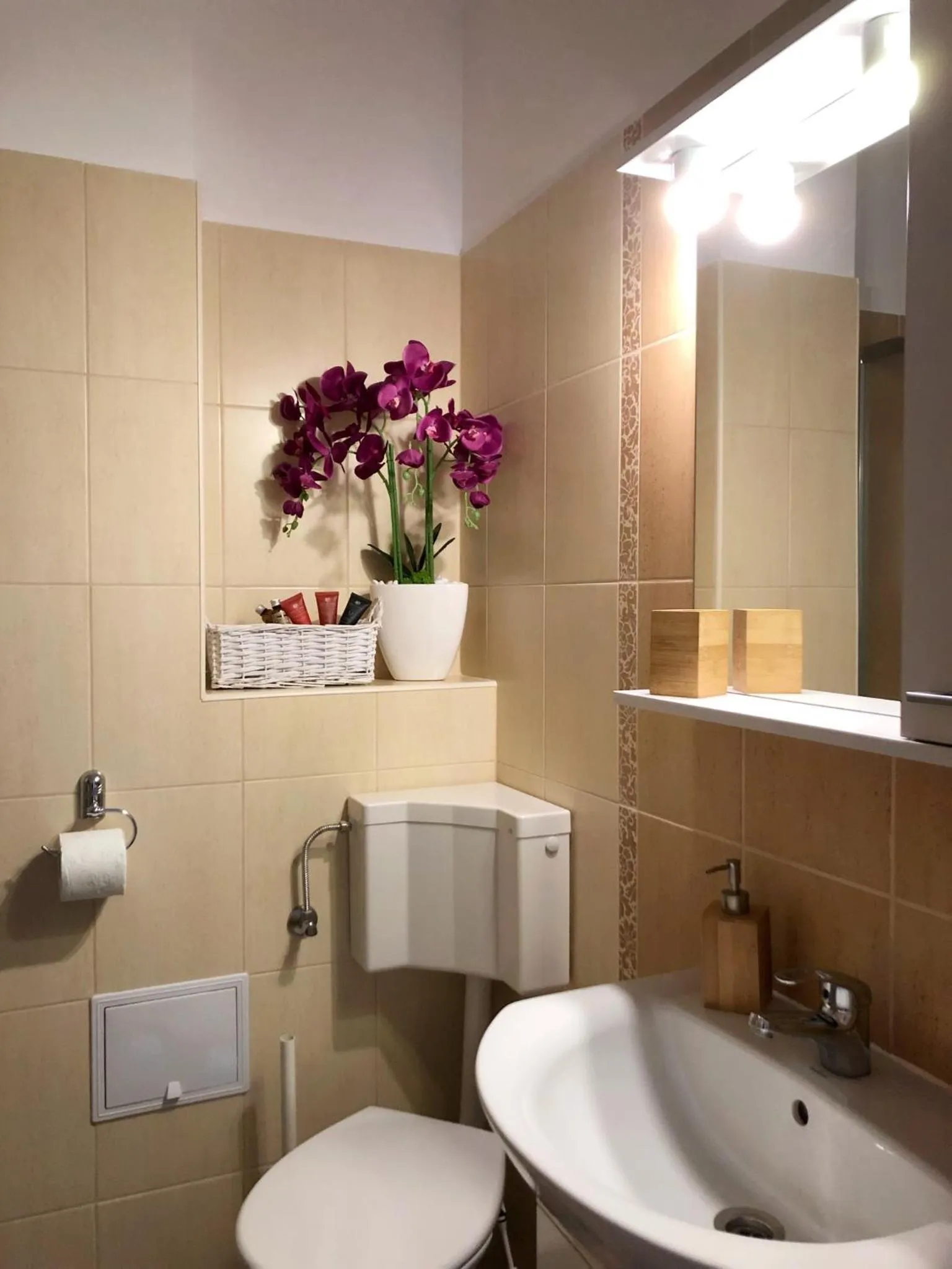 Toilet in Teo's Flat