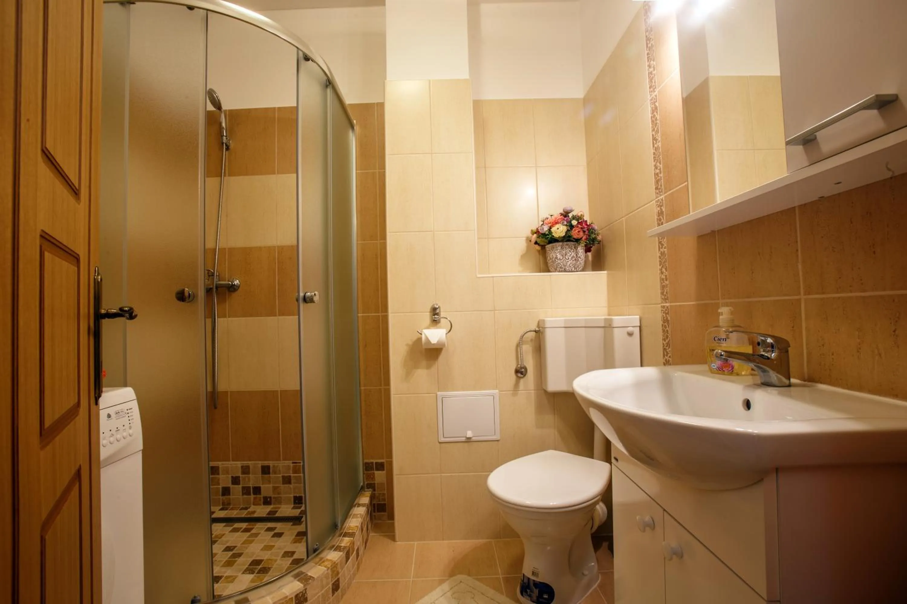 Shower in Teo's Flat