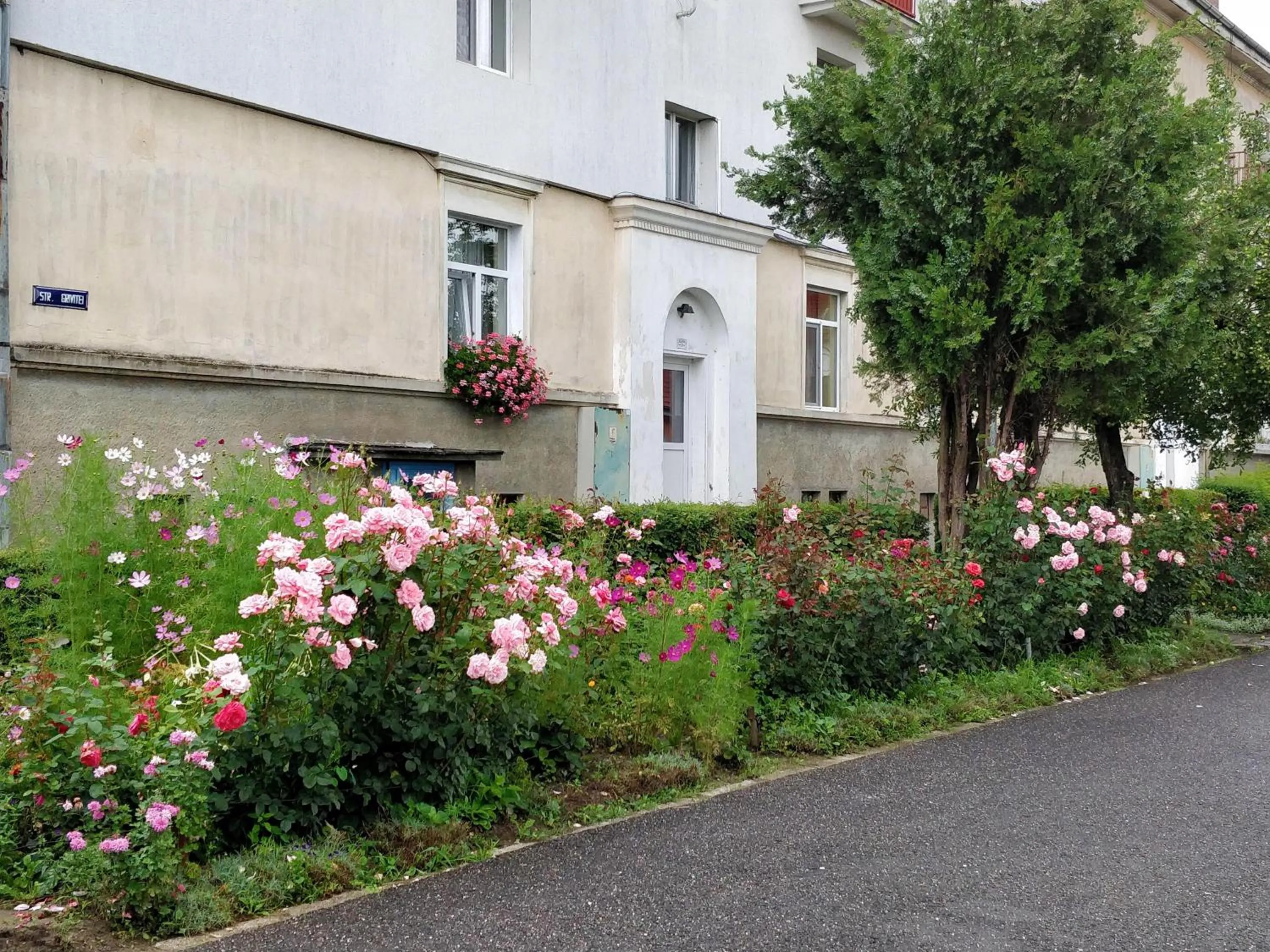 Property building in Teo's Flat