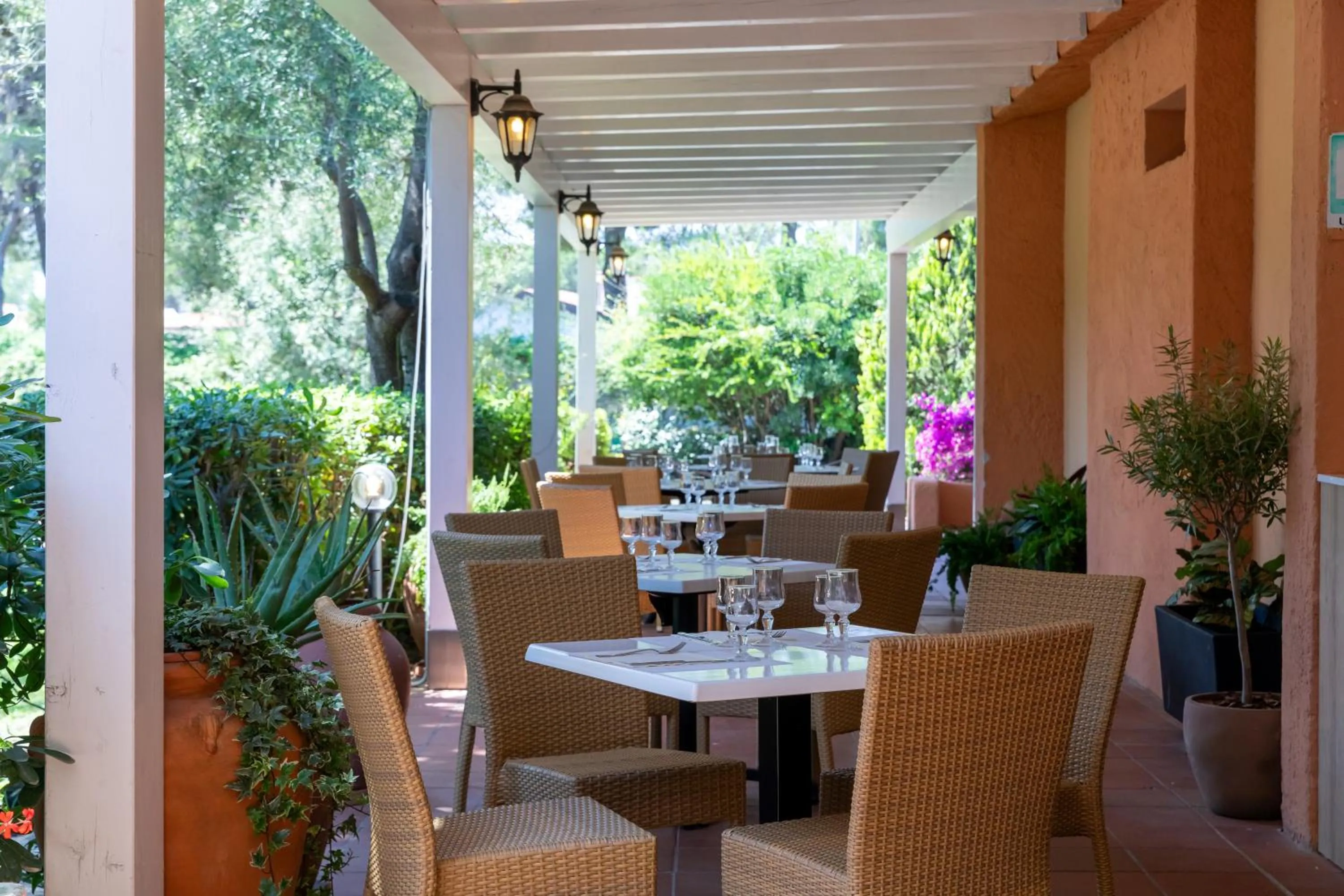 Restaurant/places to eat in MClub Budoni