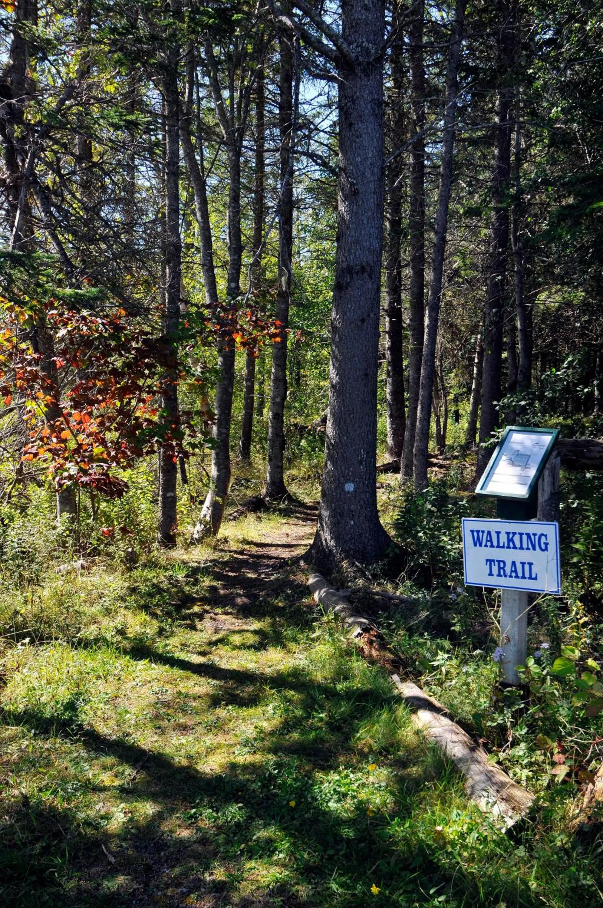 Area and facilities in Silver Dart Lodge