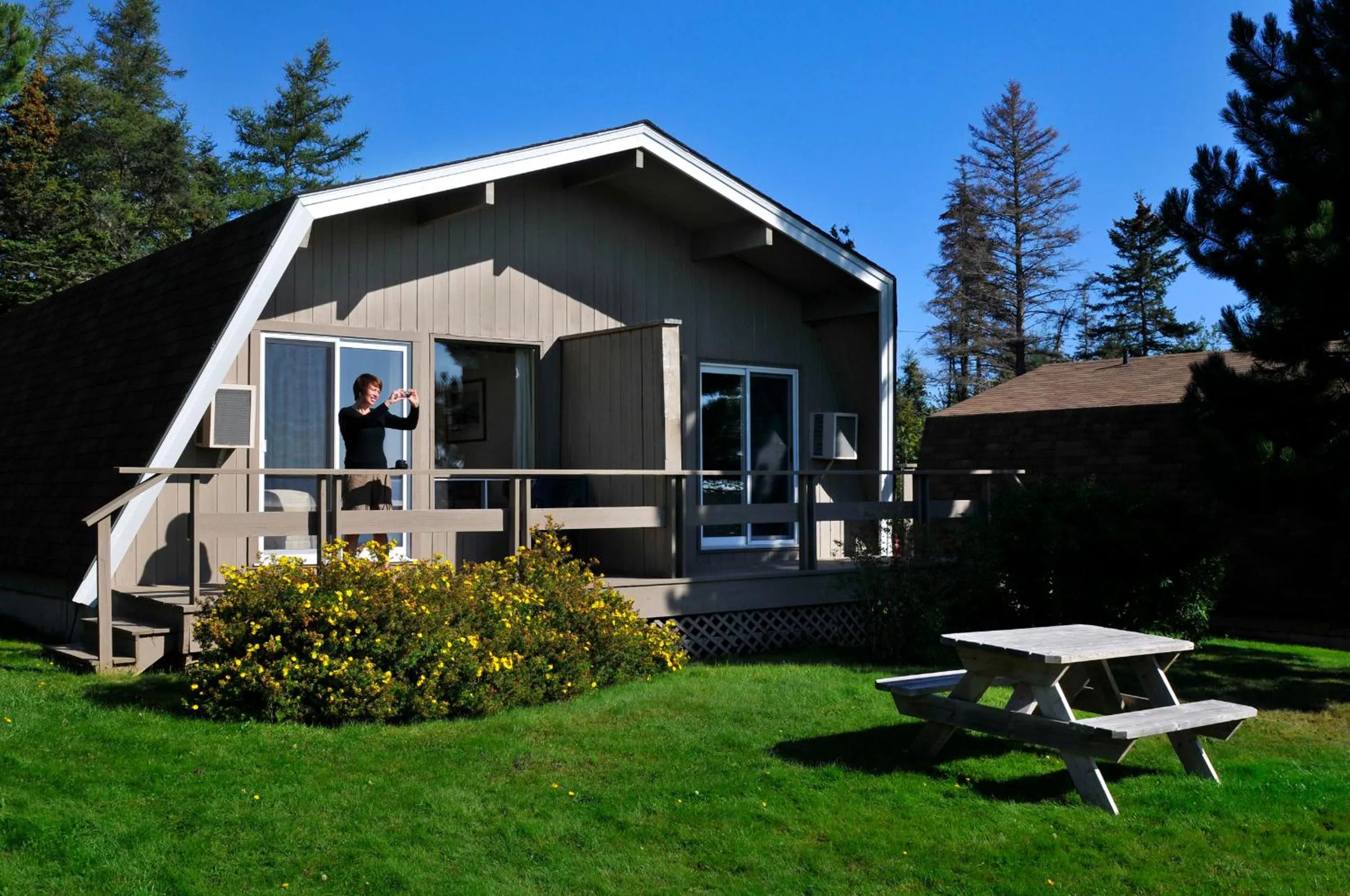 Area and facilities in Silver Dart Lodge