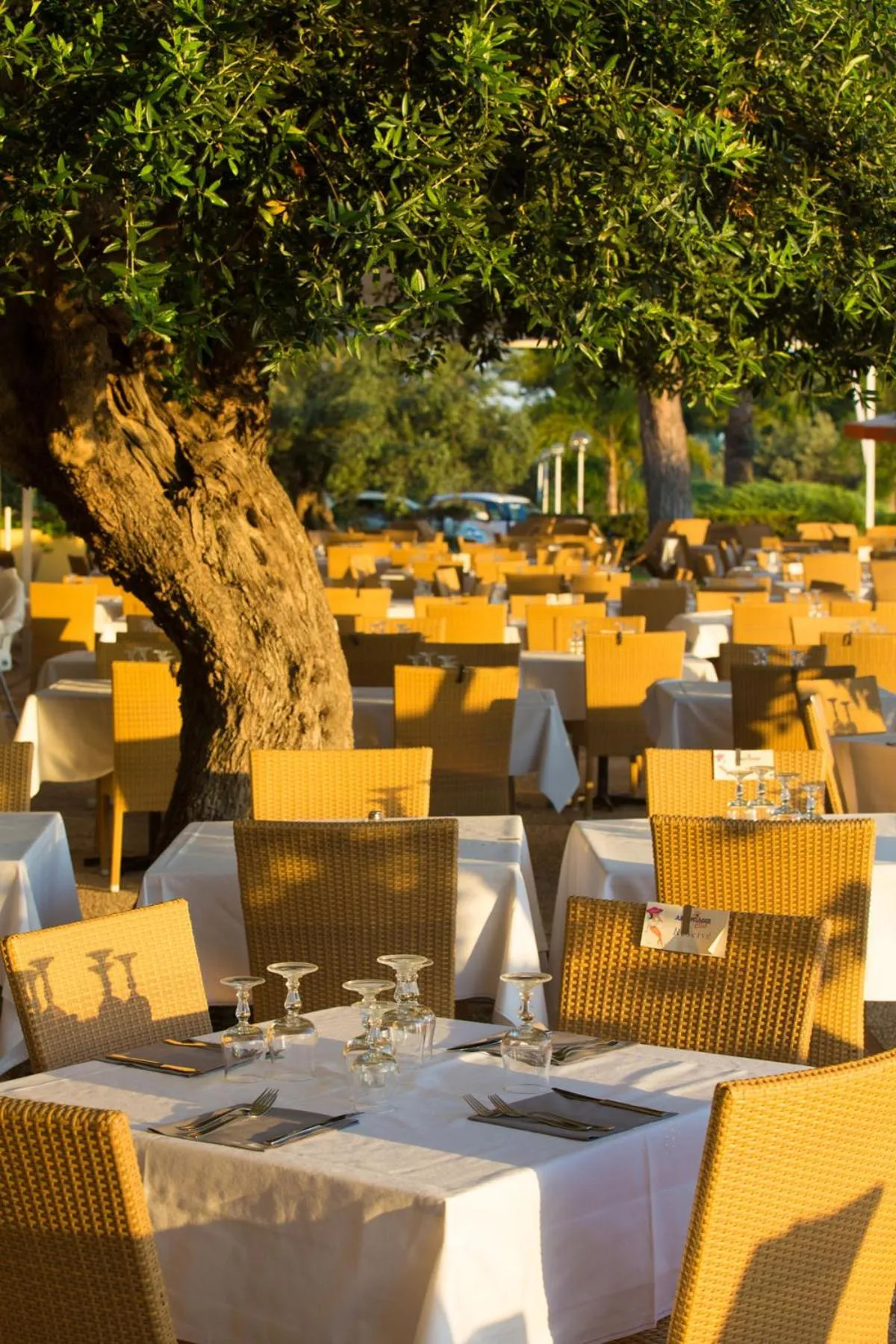 Restaurant/places to eat in MClub Lipari