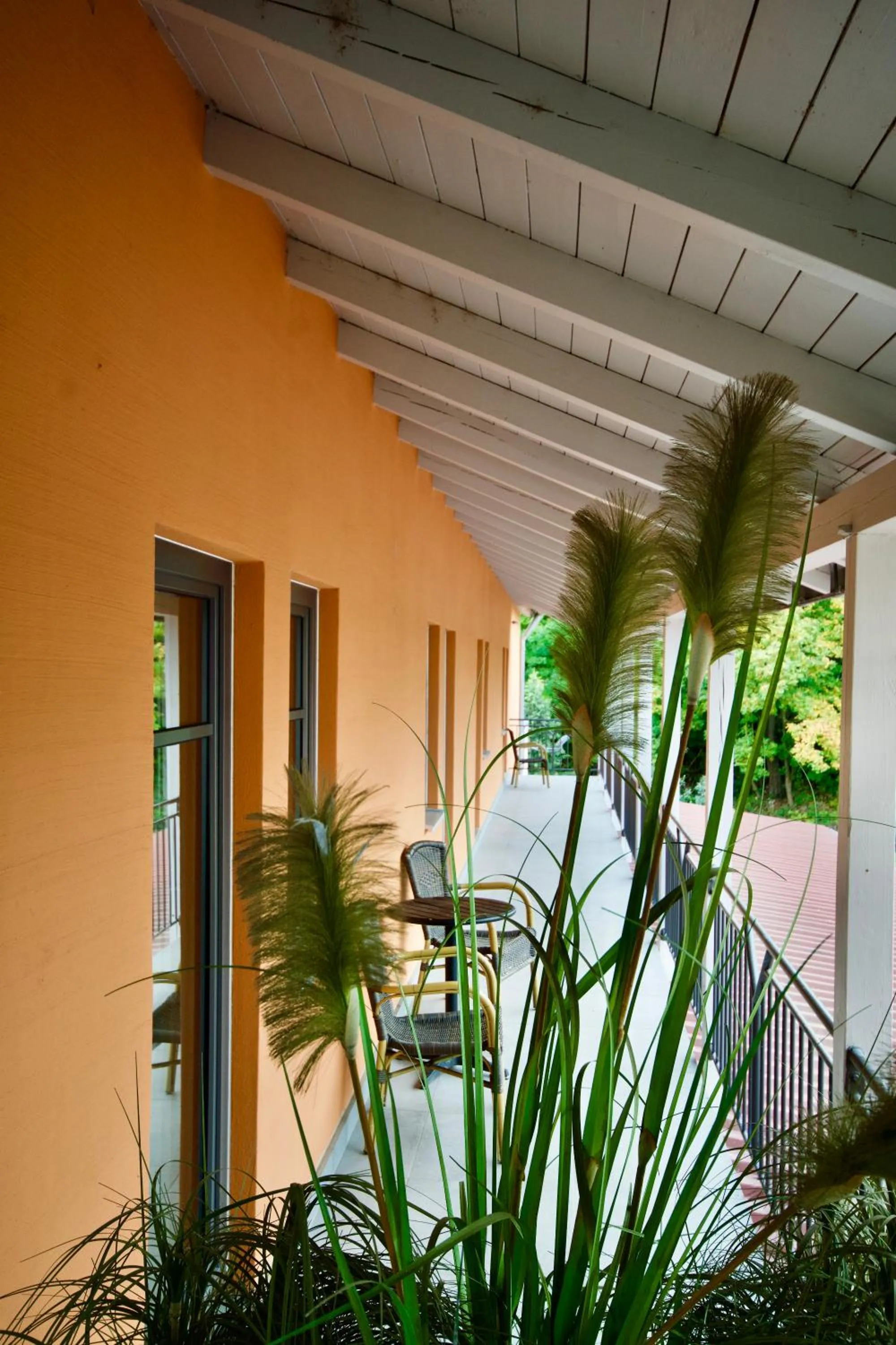 Balcony/Terrace in Gästehaus Bavaria