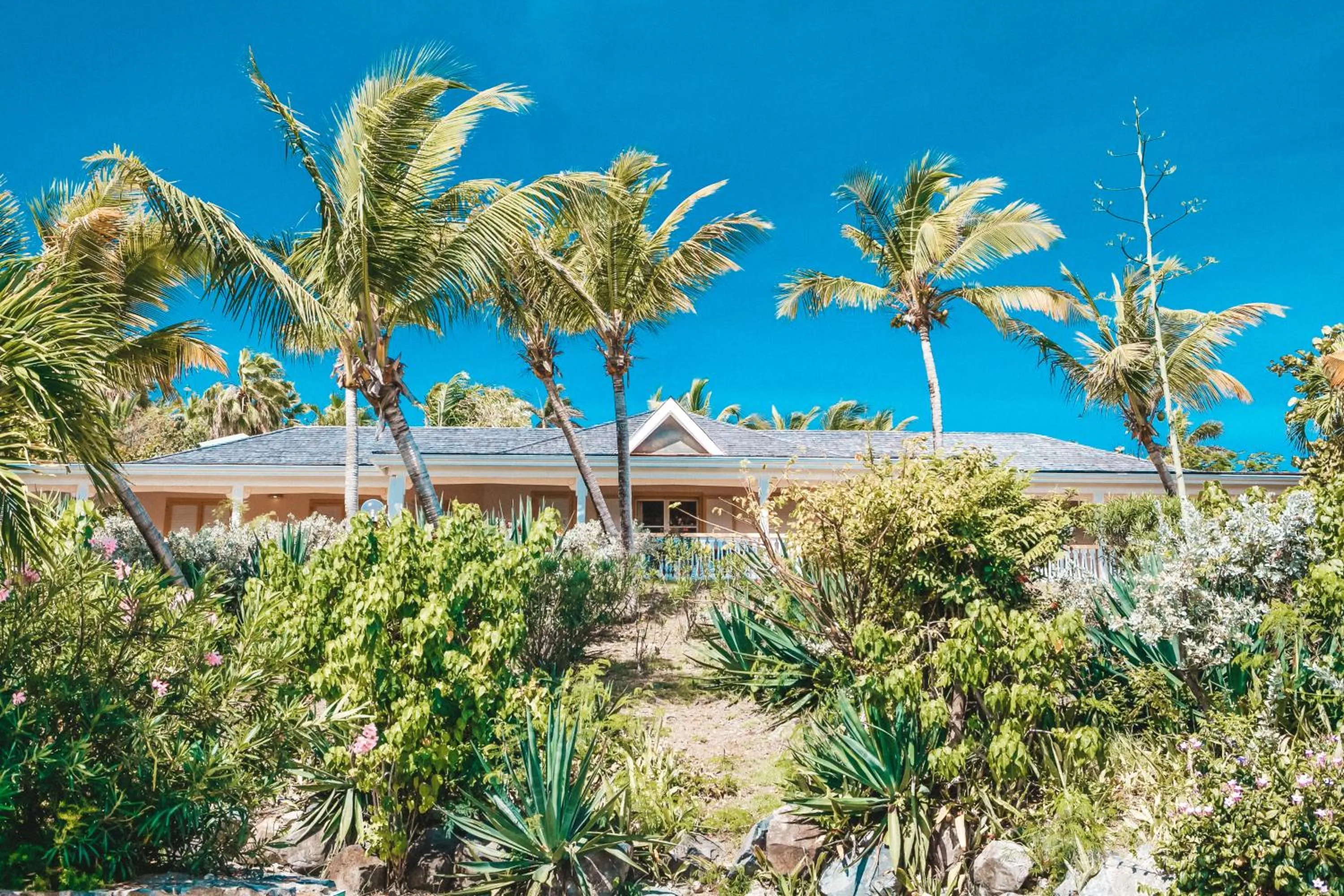 View (from property/room) in Hotel La Plantation