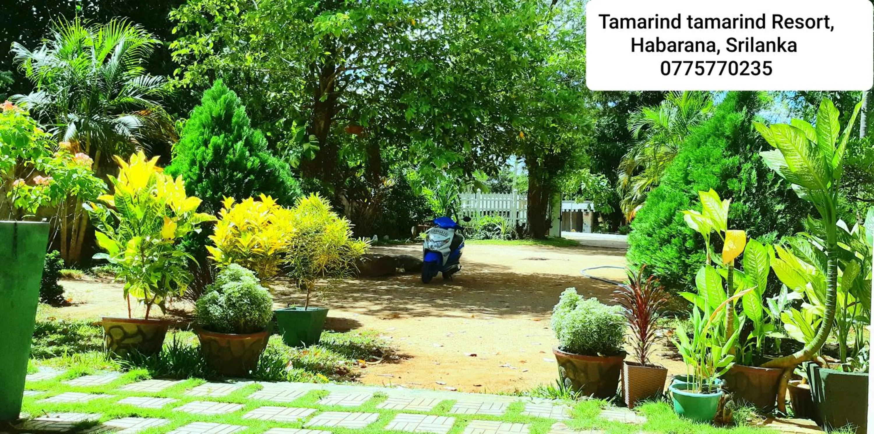 Tamarind Tamarind Resort, Tourist Board Approved