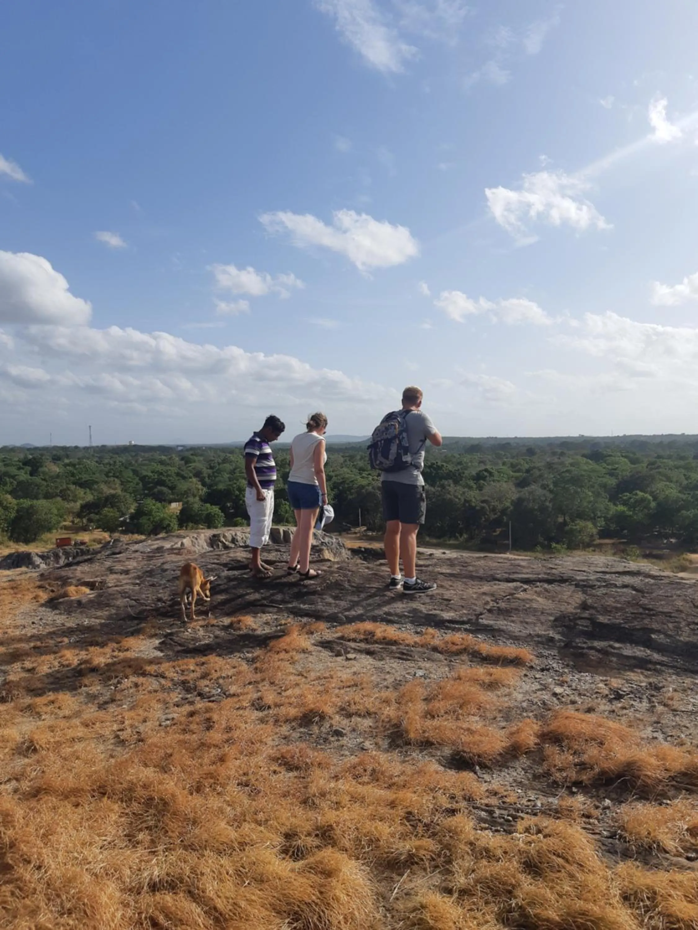 Activities in Tamarind Tamarind Resort, Tourist Board Approved