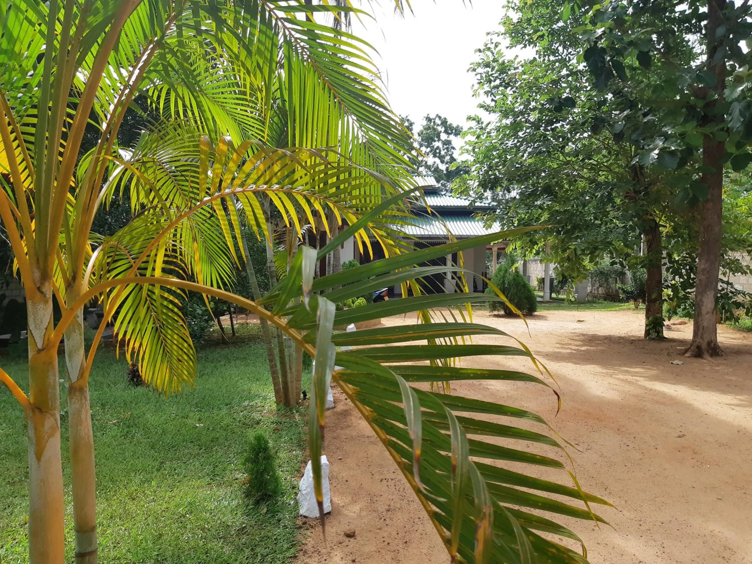 Garden view in Tamarind Tamarind Resort, Tourist Board Approved