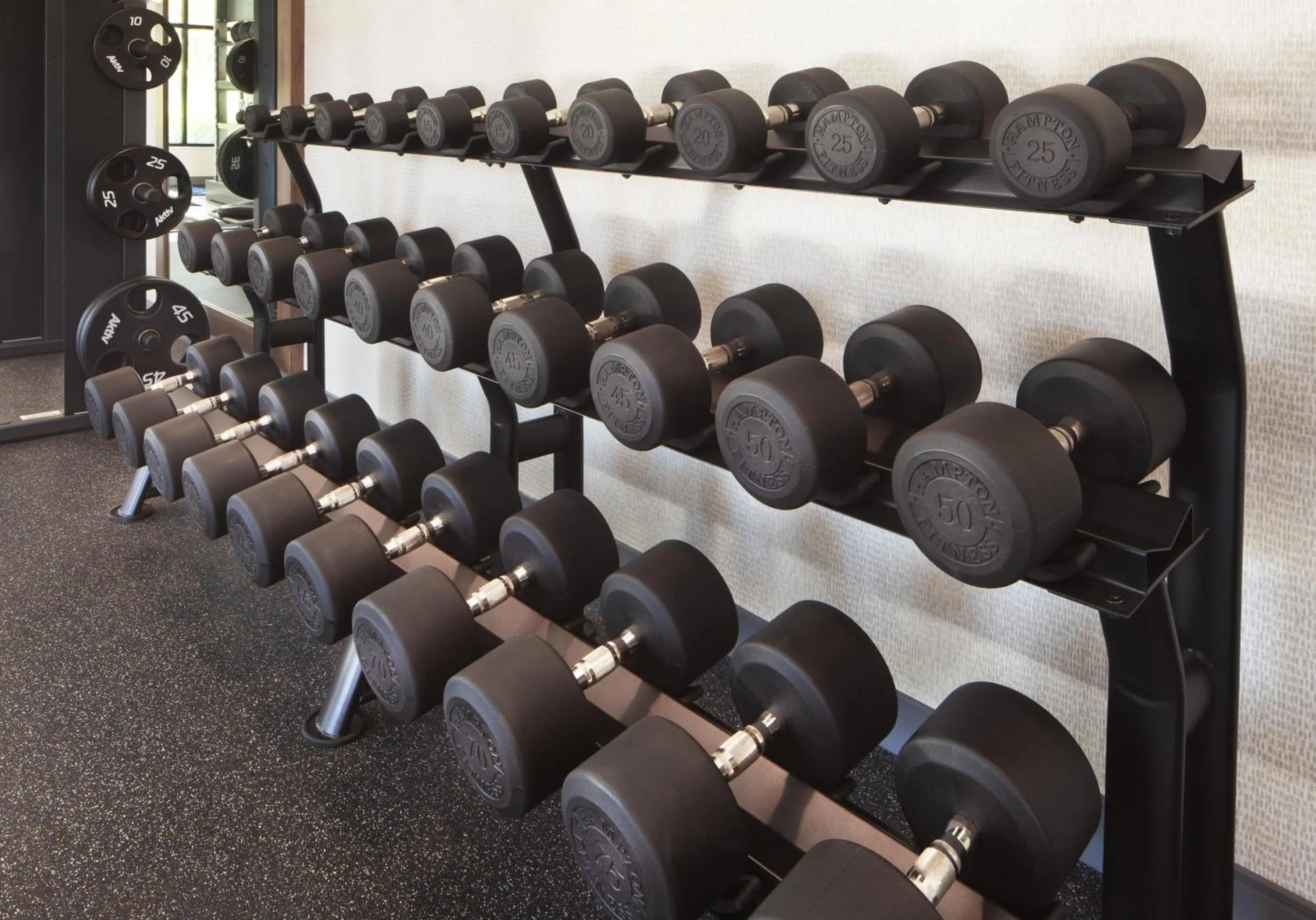Fitness centre/facilities in Hampton Inn & Suites Cleveland-Mentor