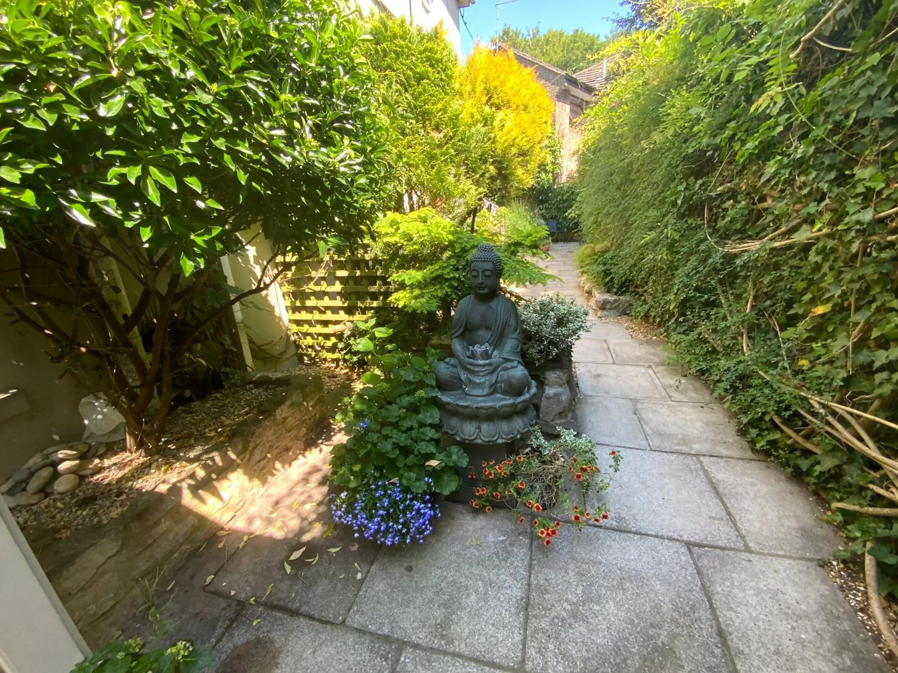 Garden in The Casterbridge