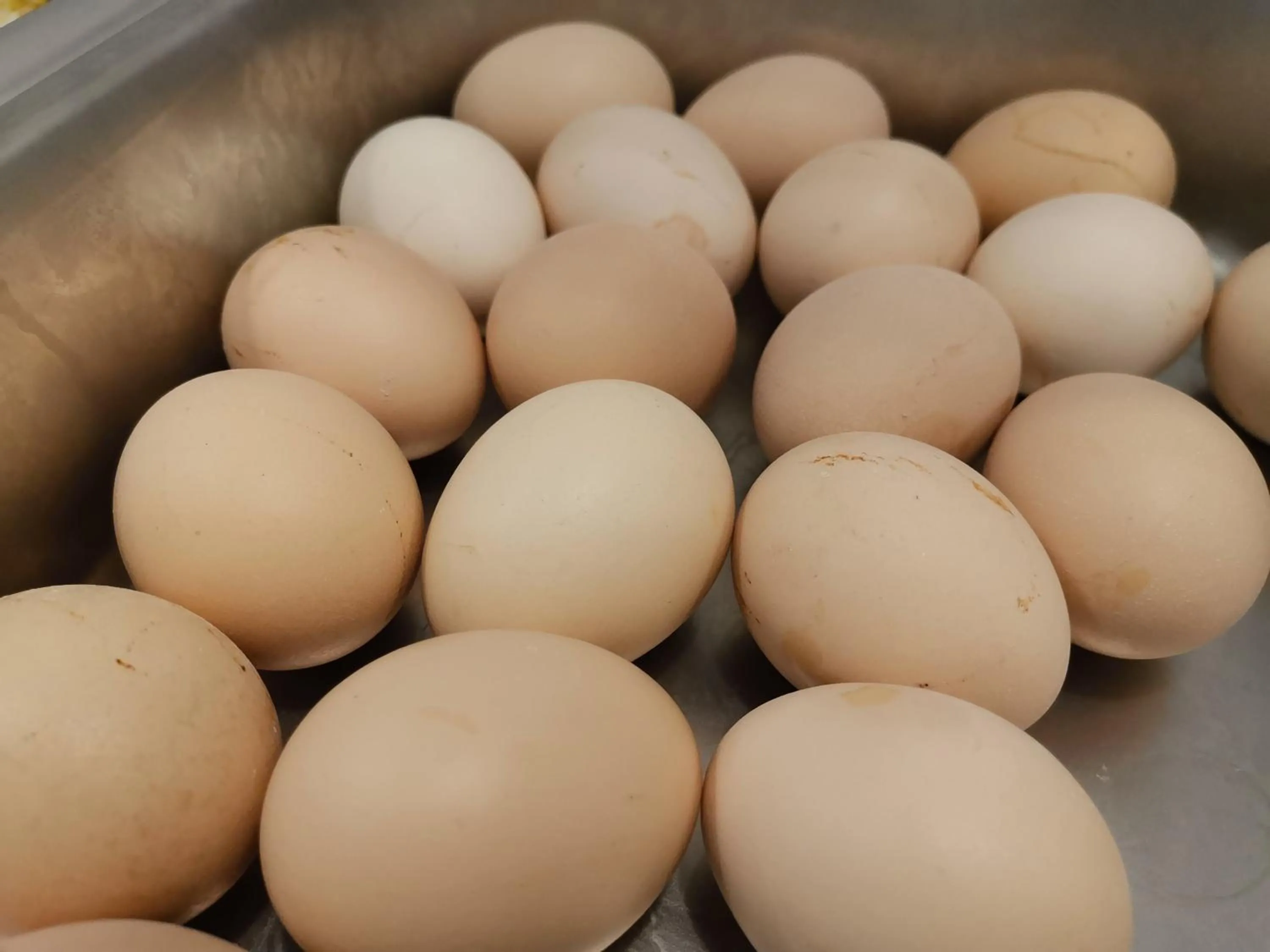 Zhongshan Bafei Hotel