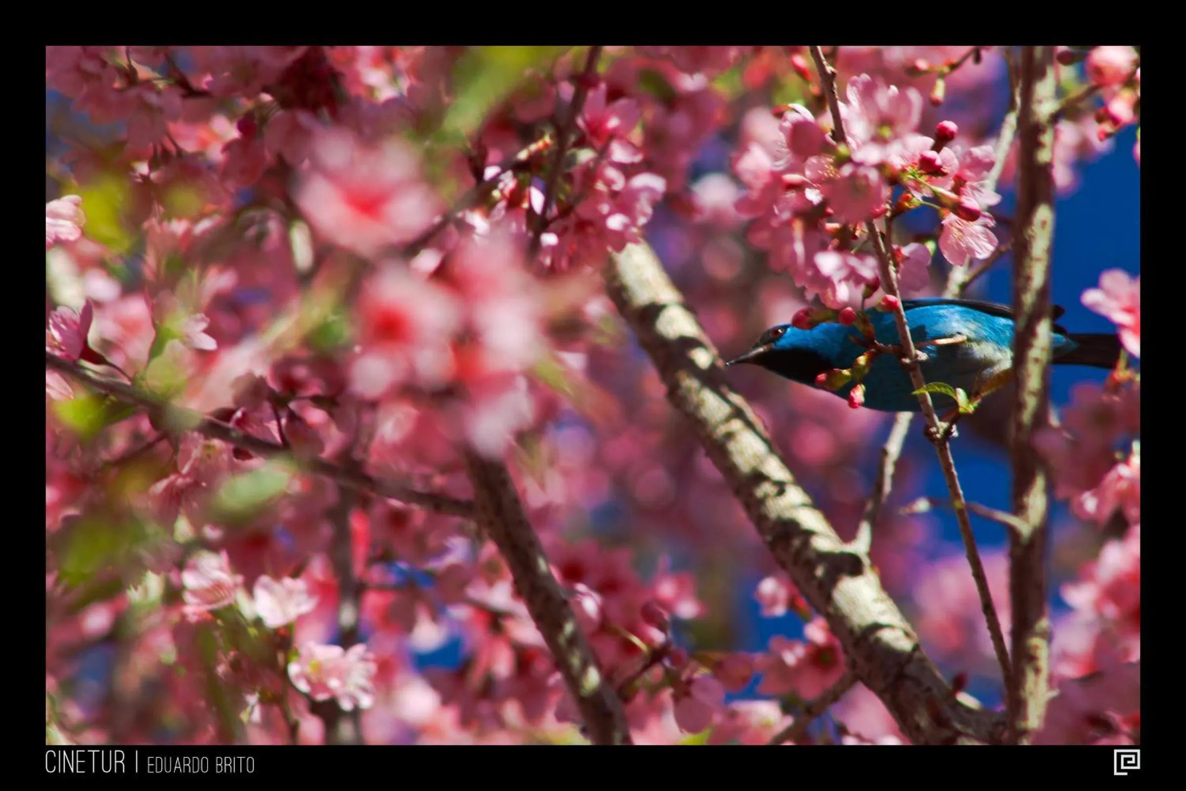 Spring in Pousada Paraíso Açú