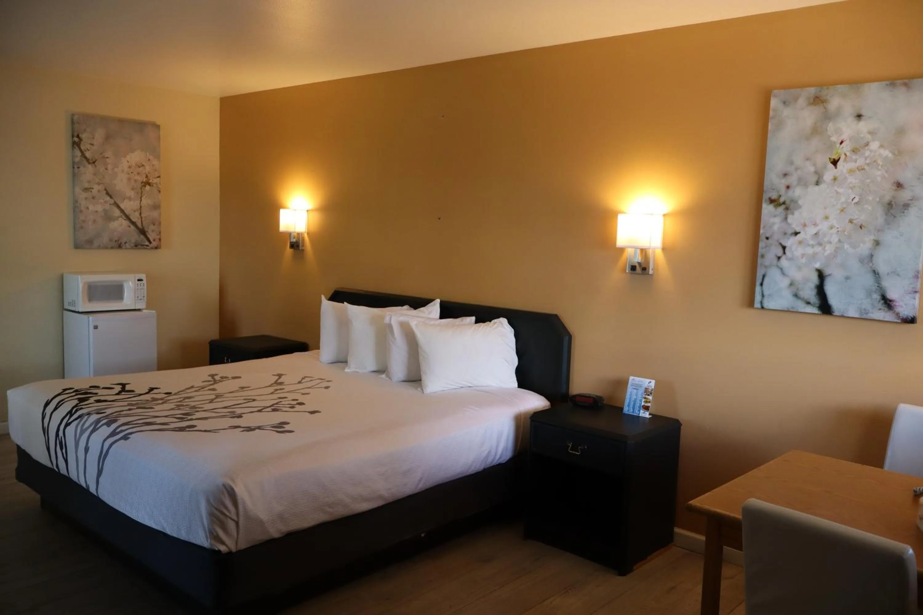 Bed in Black Canyon Motel