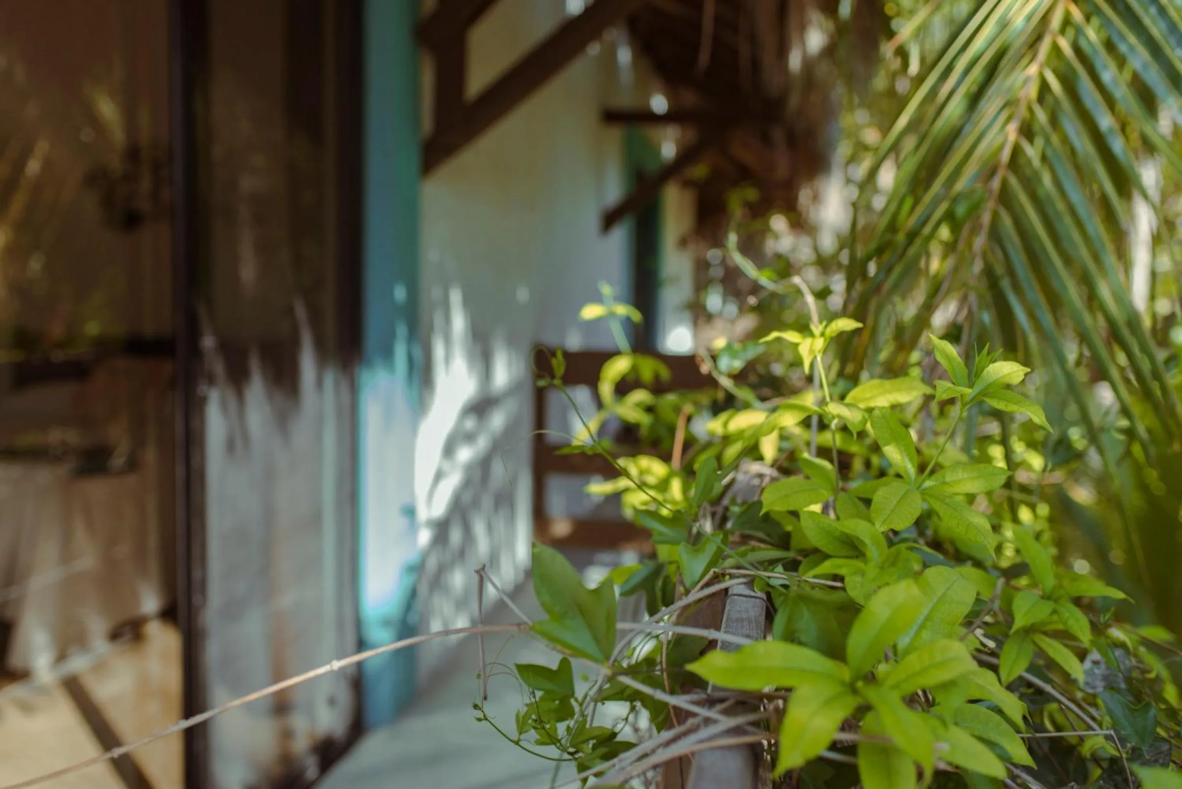 Balcony/Terrace in Hotel Villas Tiburon Adults Only