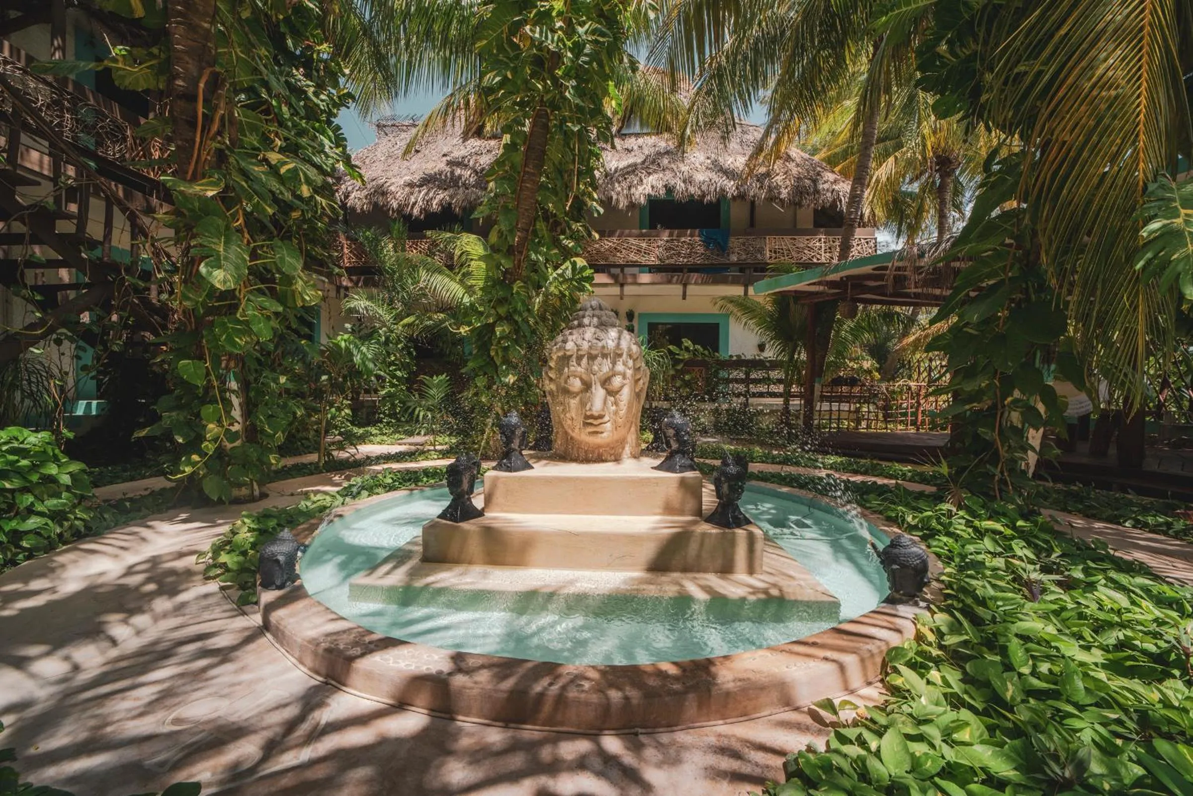 Garden in Hotel Villas Tiburon Adults Only