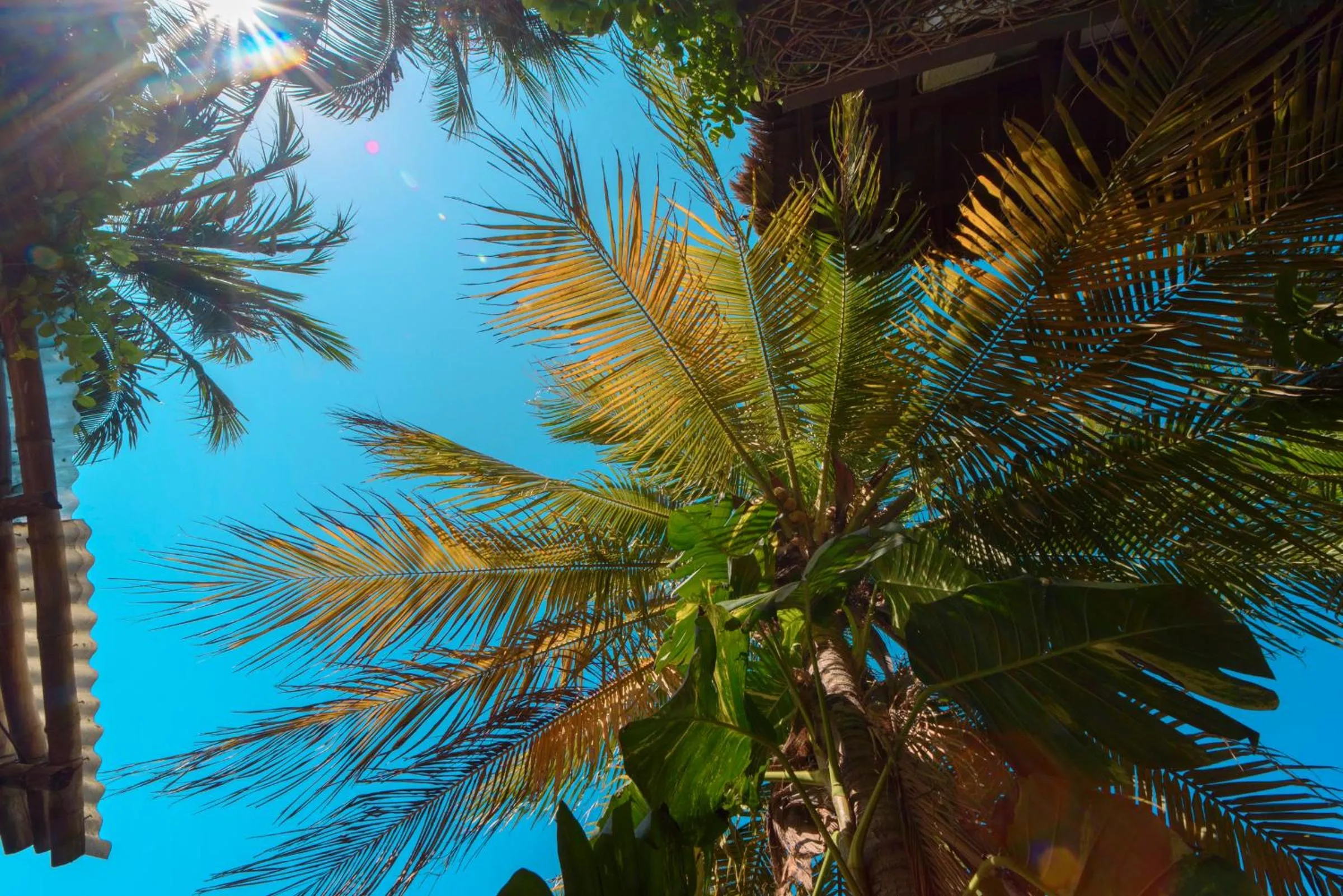 Hotel Villas Tiburon Adults Only