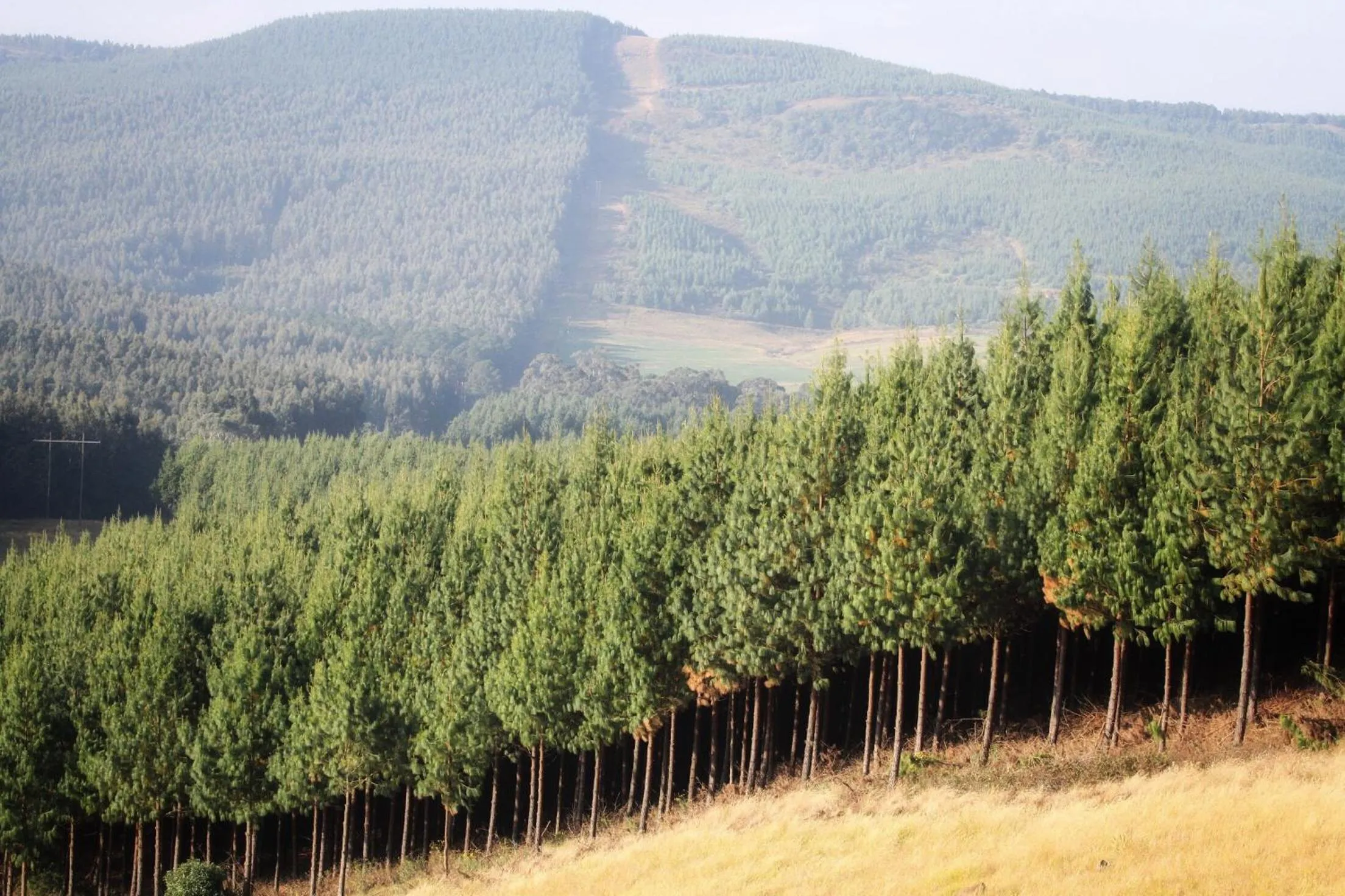 Mountain view in Curry's Post Bed & Breakfast