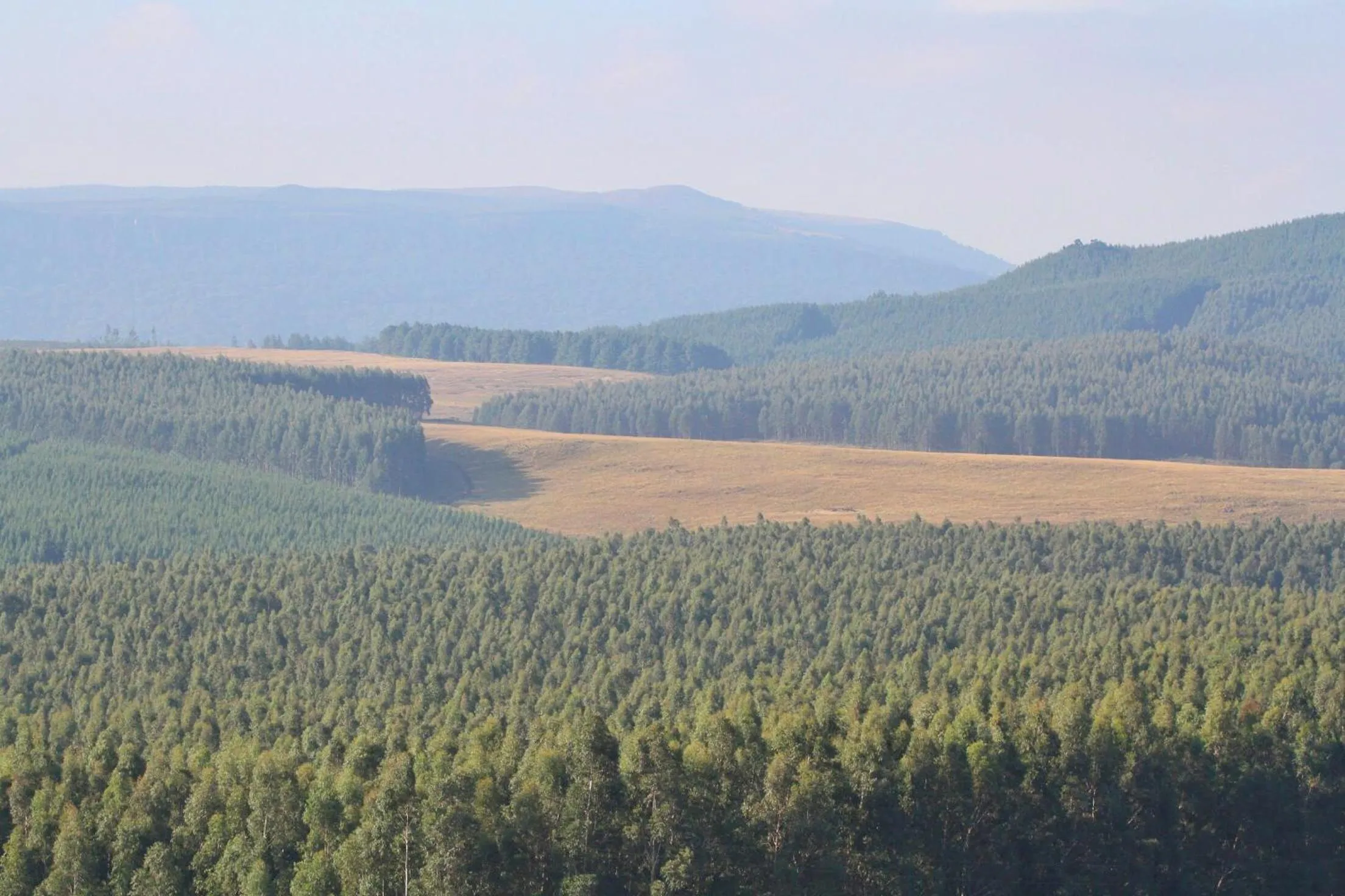 On site in Curry's Post Bed & Breakfast