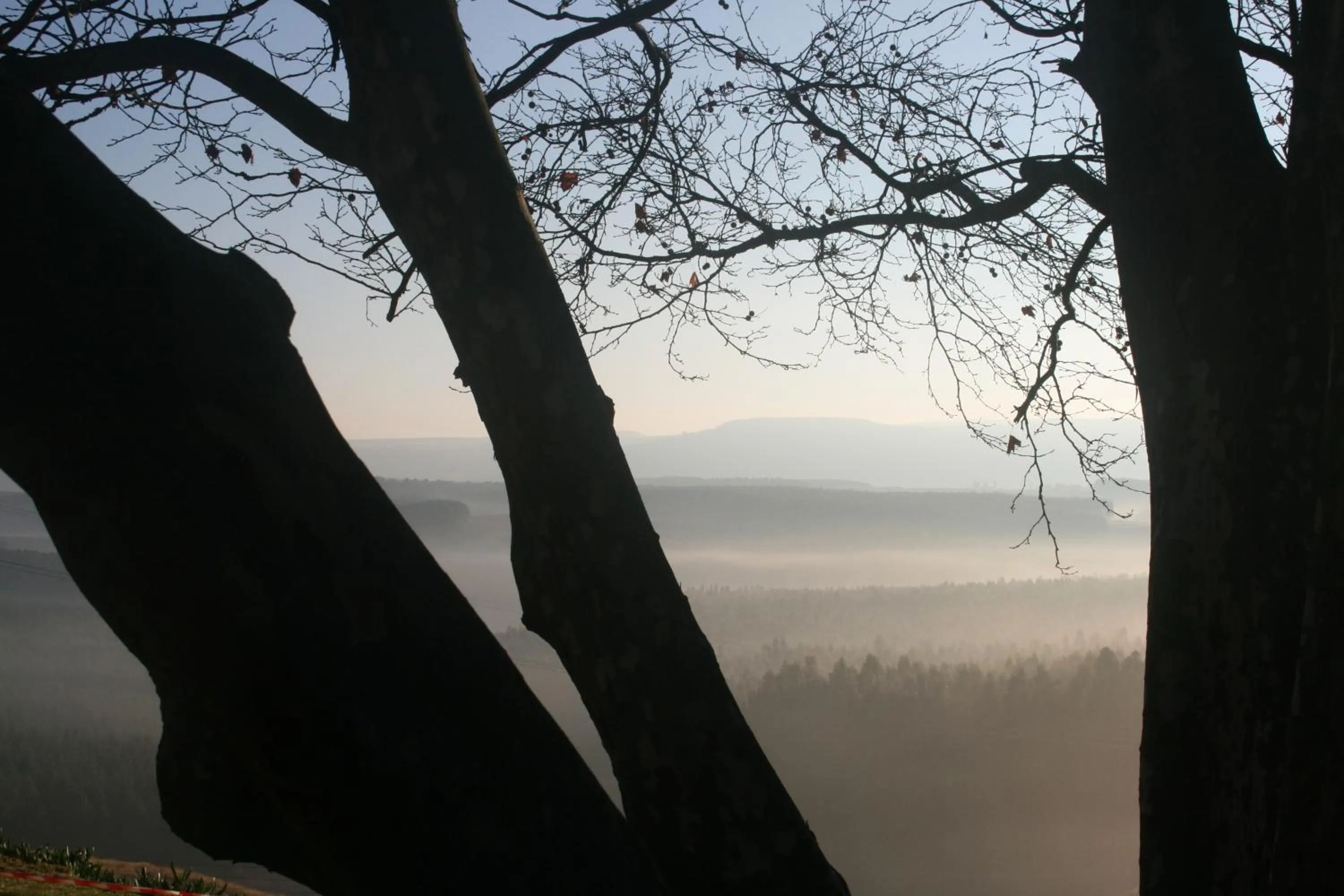 Mountain view in Curry's Post Bed & Breakfast