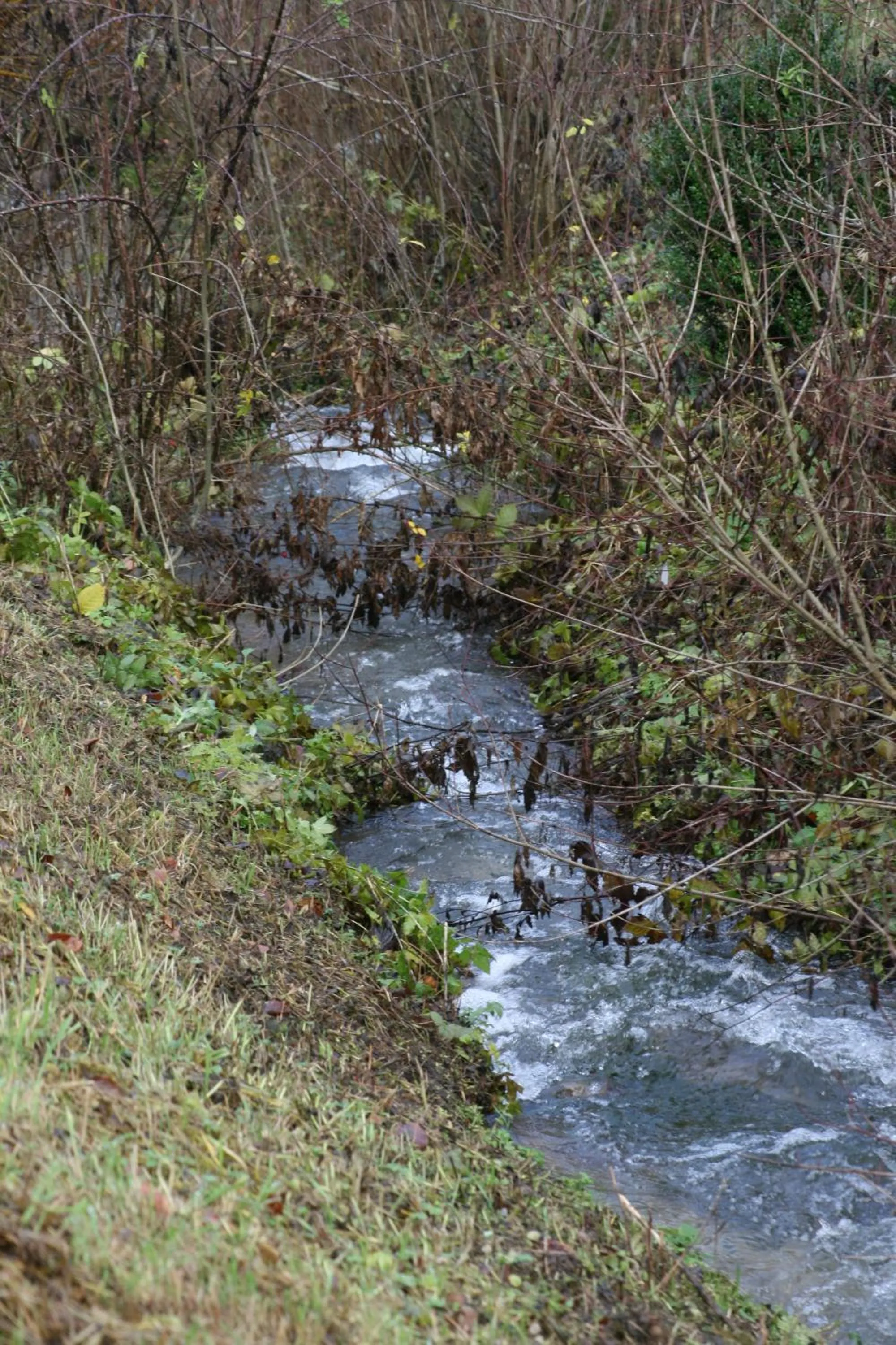 Natural landscape in B&B Arlesbrunnen
