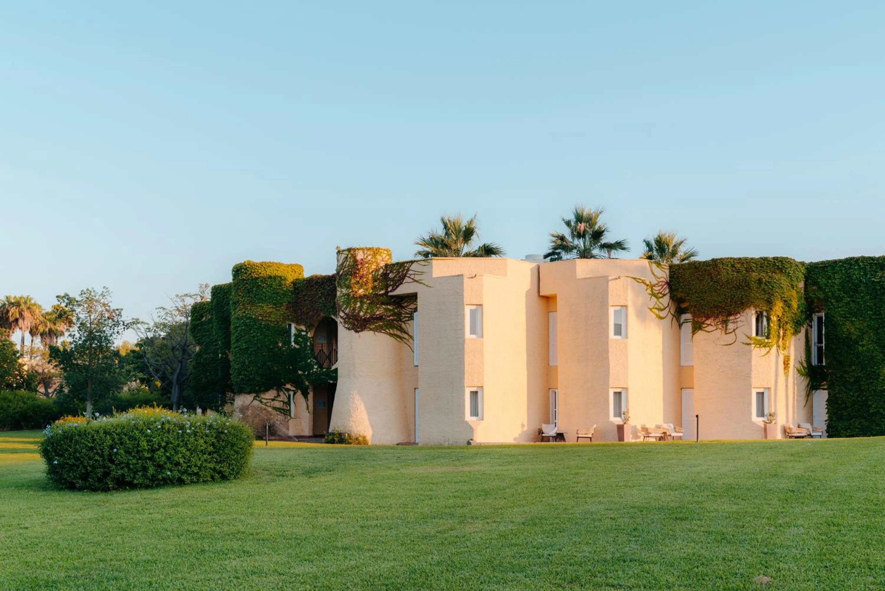 Garden in Mangia's Brucoli, Sicily, Autograph Collection