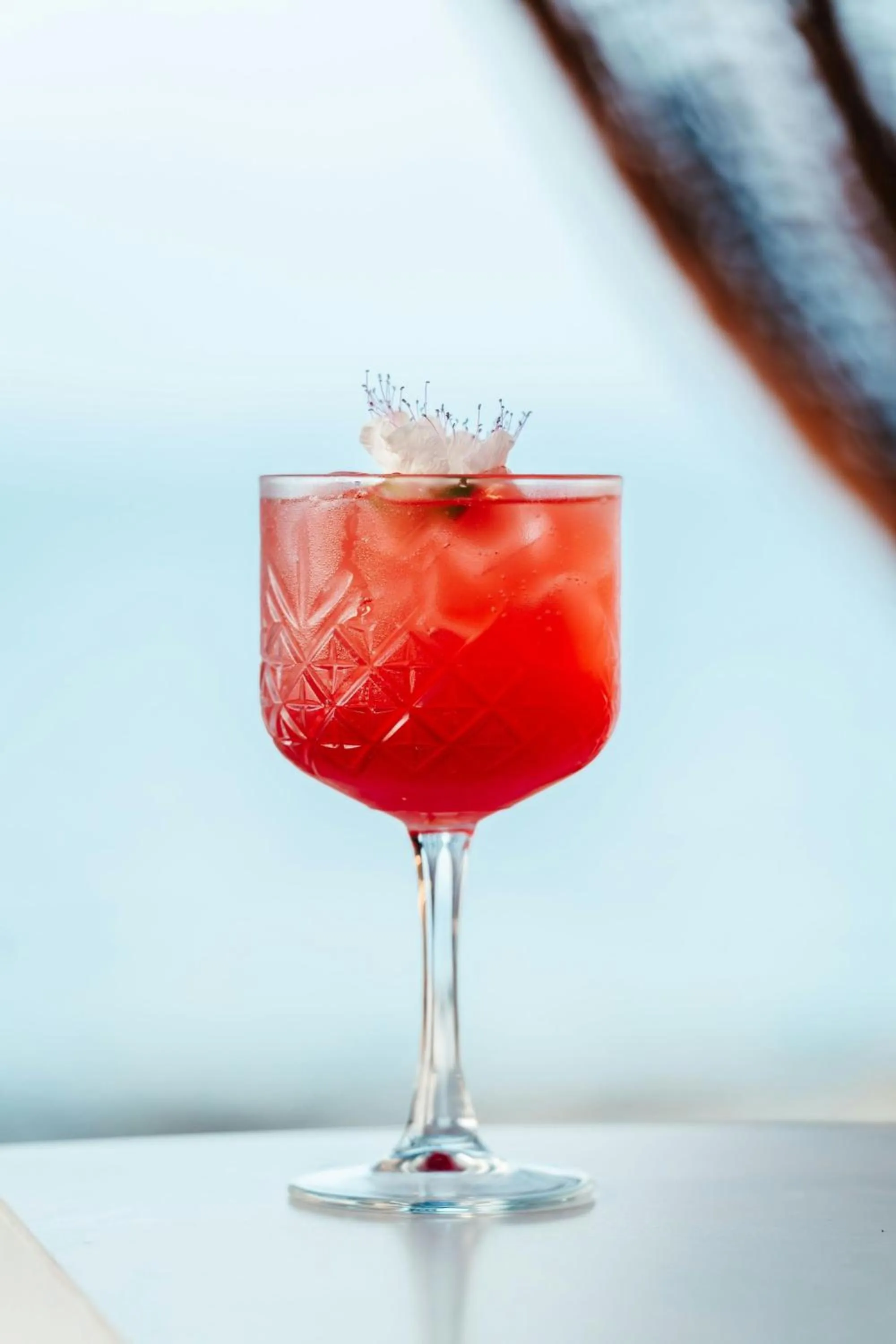 Restaurant/places to eat in Mangia's Brucoli, Sicily, Autograph Collection