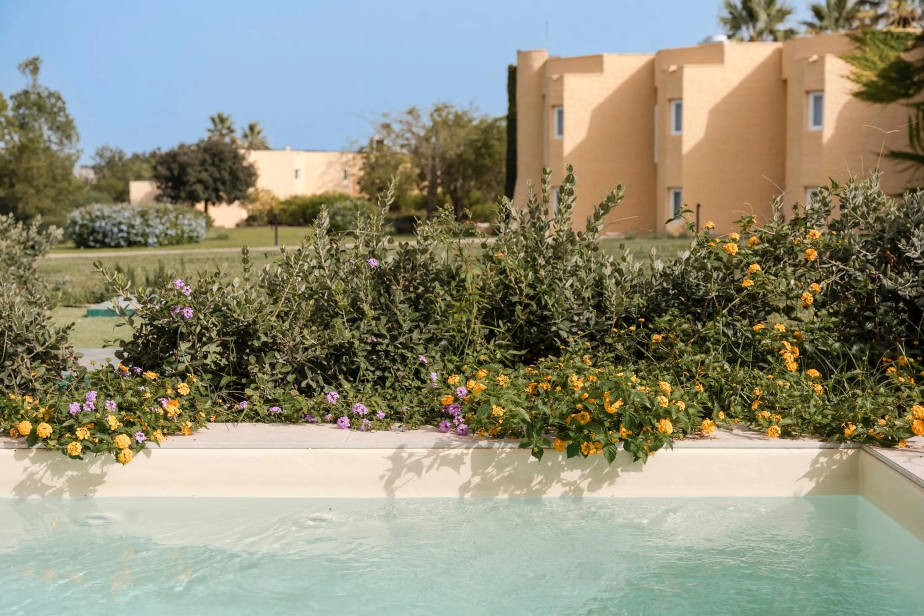 Garden view in Mangia's Brucoli, Sicily, Autograph Collection