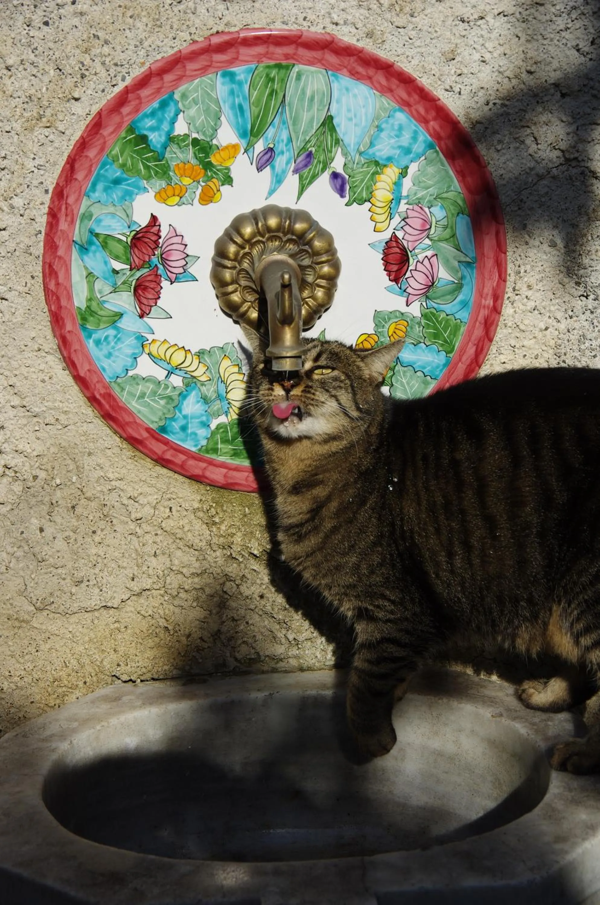 Garden in La magnolia B&B