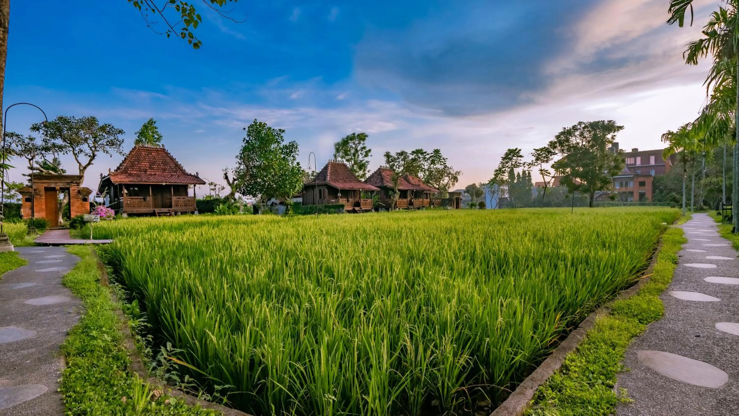 Property building in KajaNe Yangloni at Ubud Bali