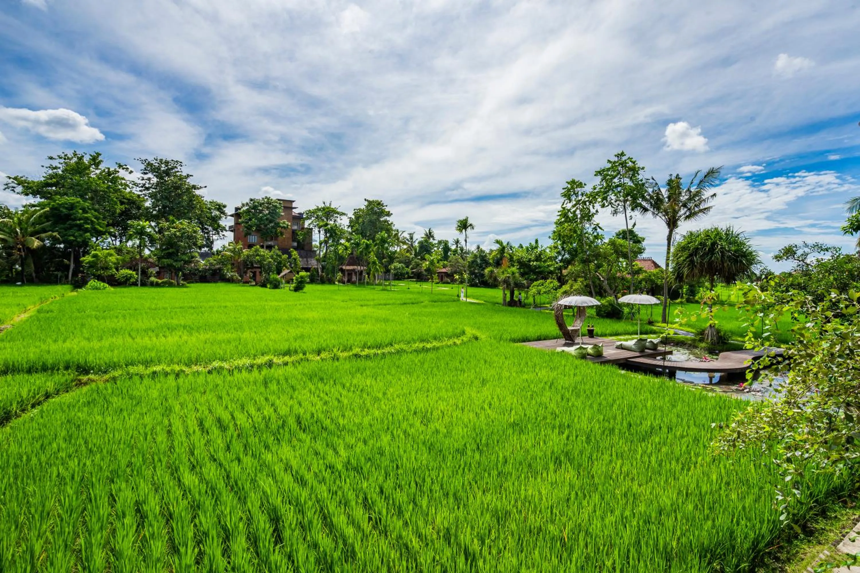 Garden in KajaNe Yangloni at Ubud Bali
