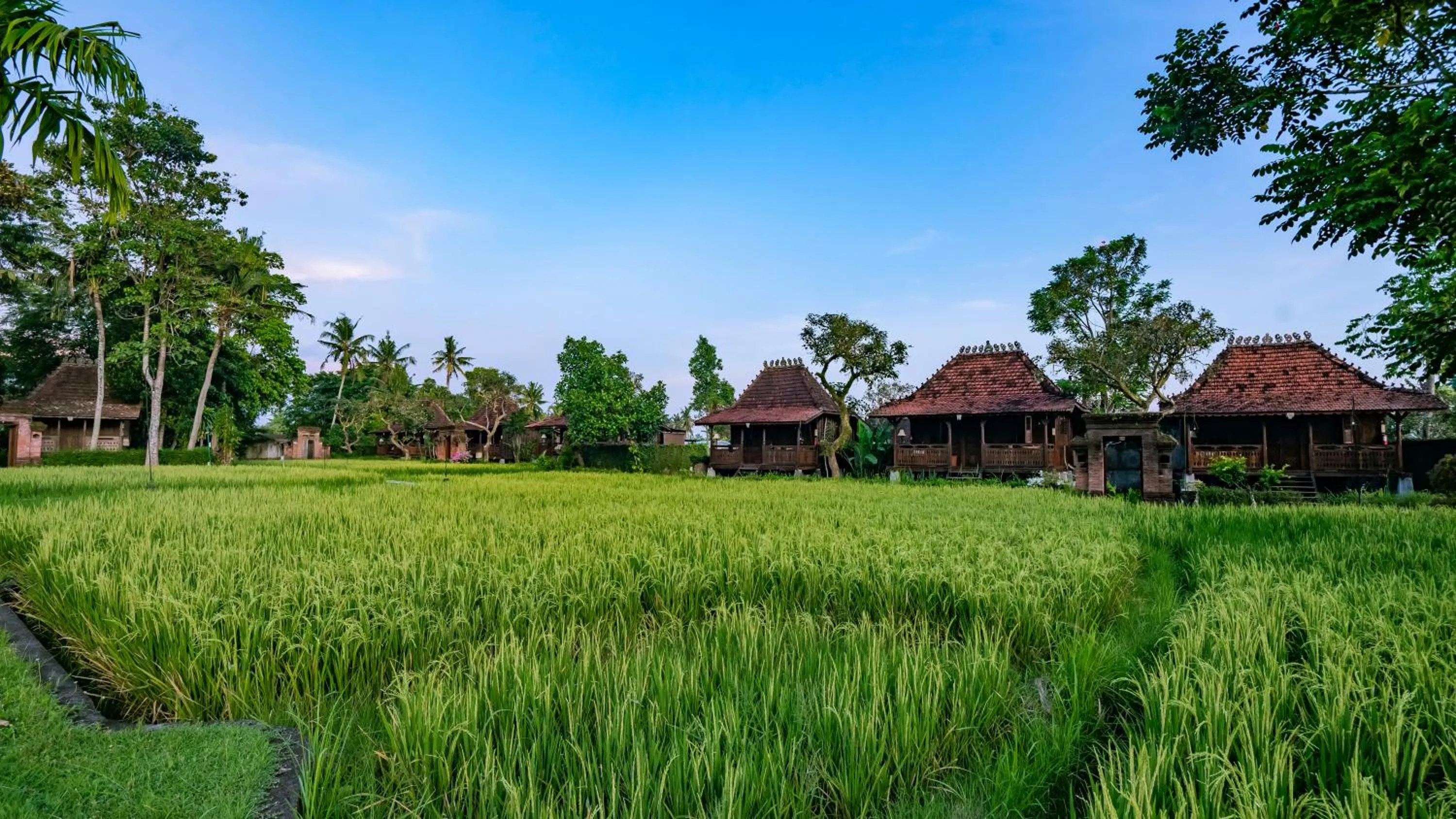 Property building in KajaNe Yangloni at Ubud Bali