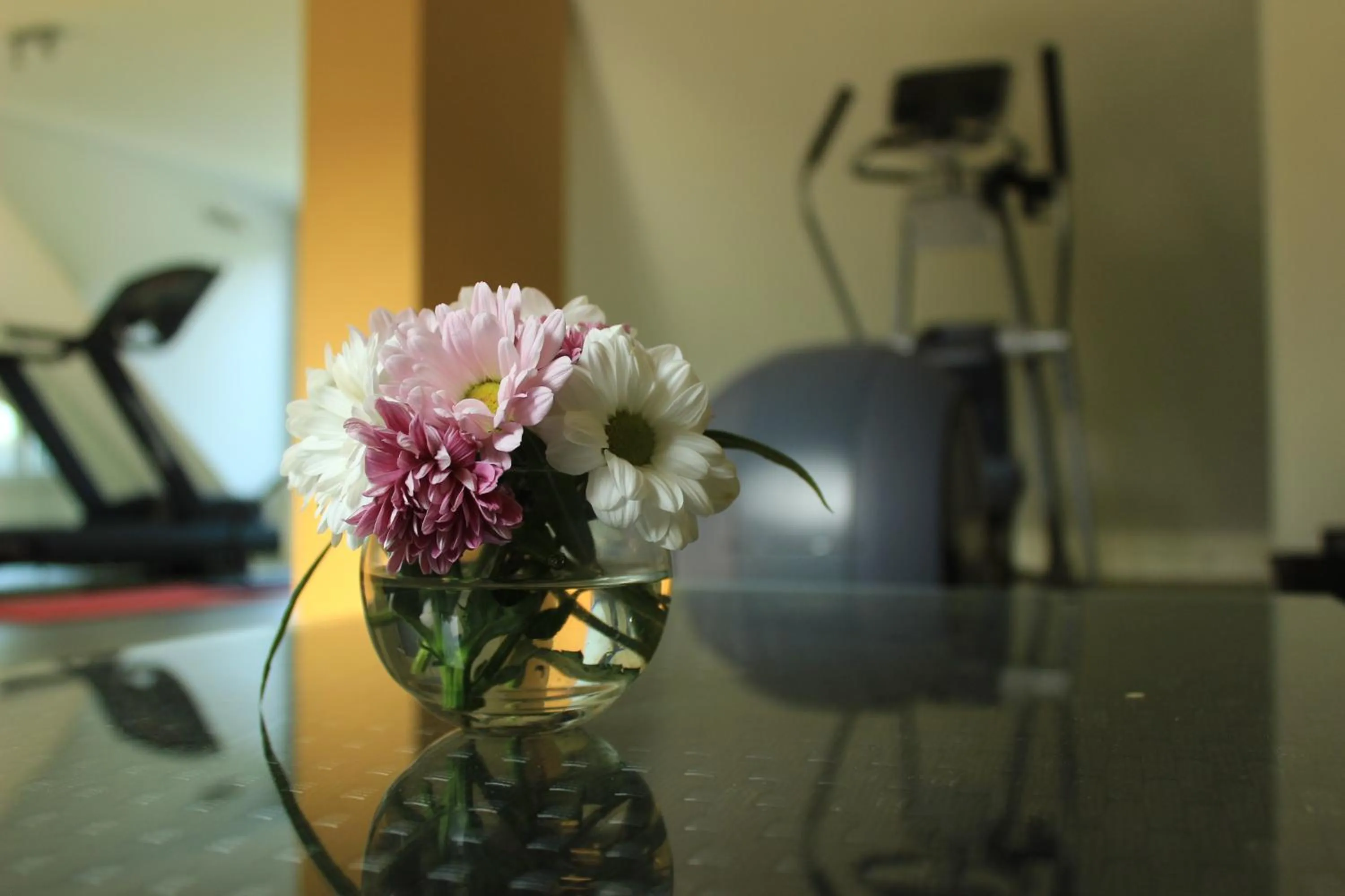 Fitness centre/facilities in Hotel Restaurant Höldrichsmühle