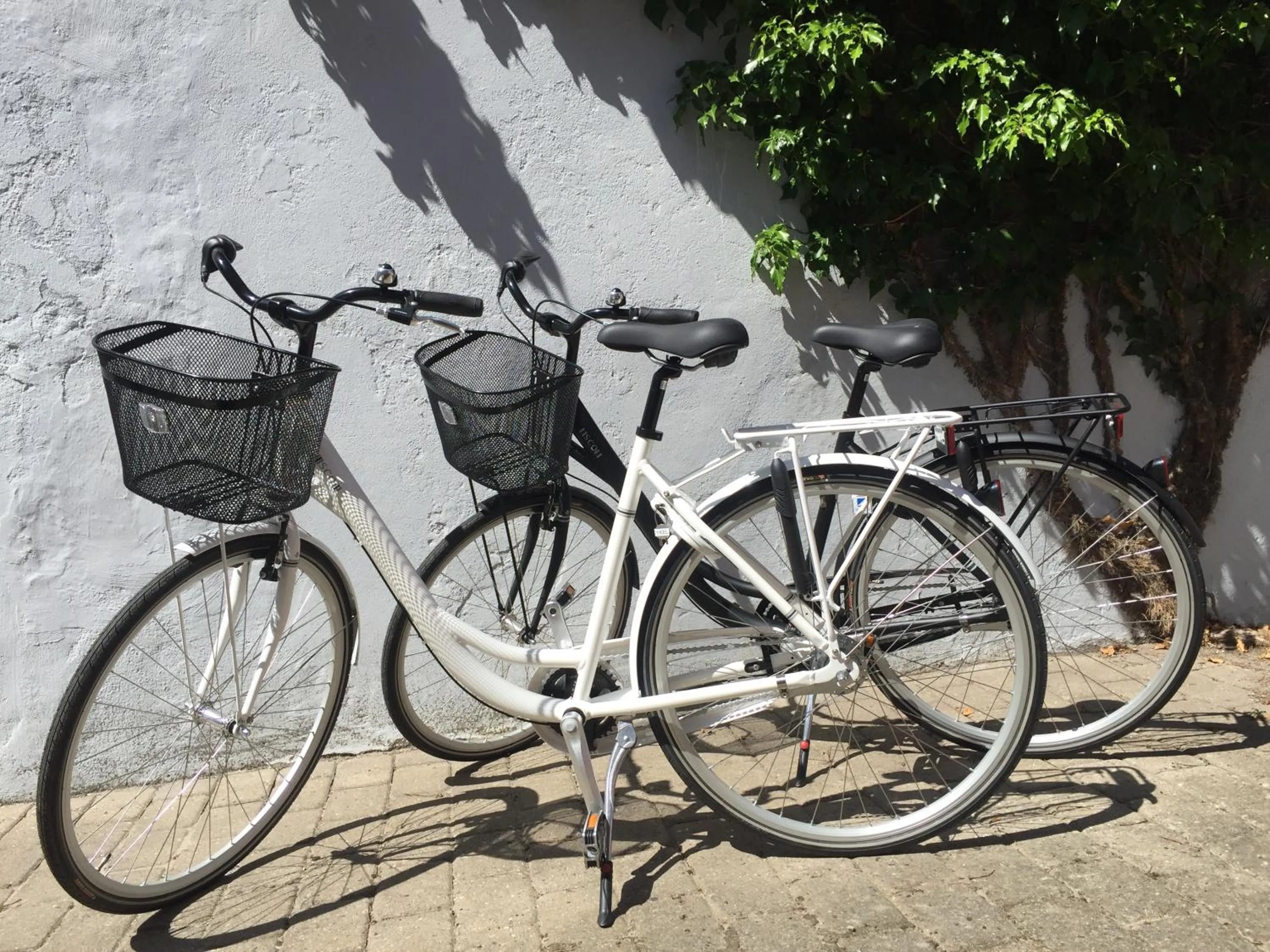 Cycling in Siesta Vejle