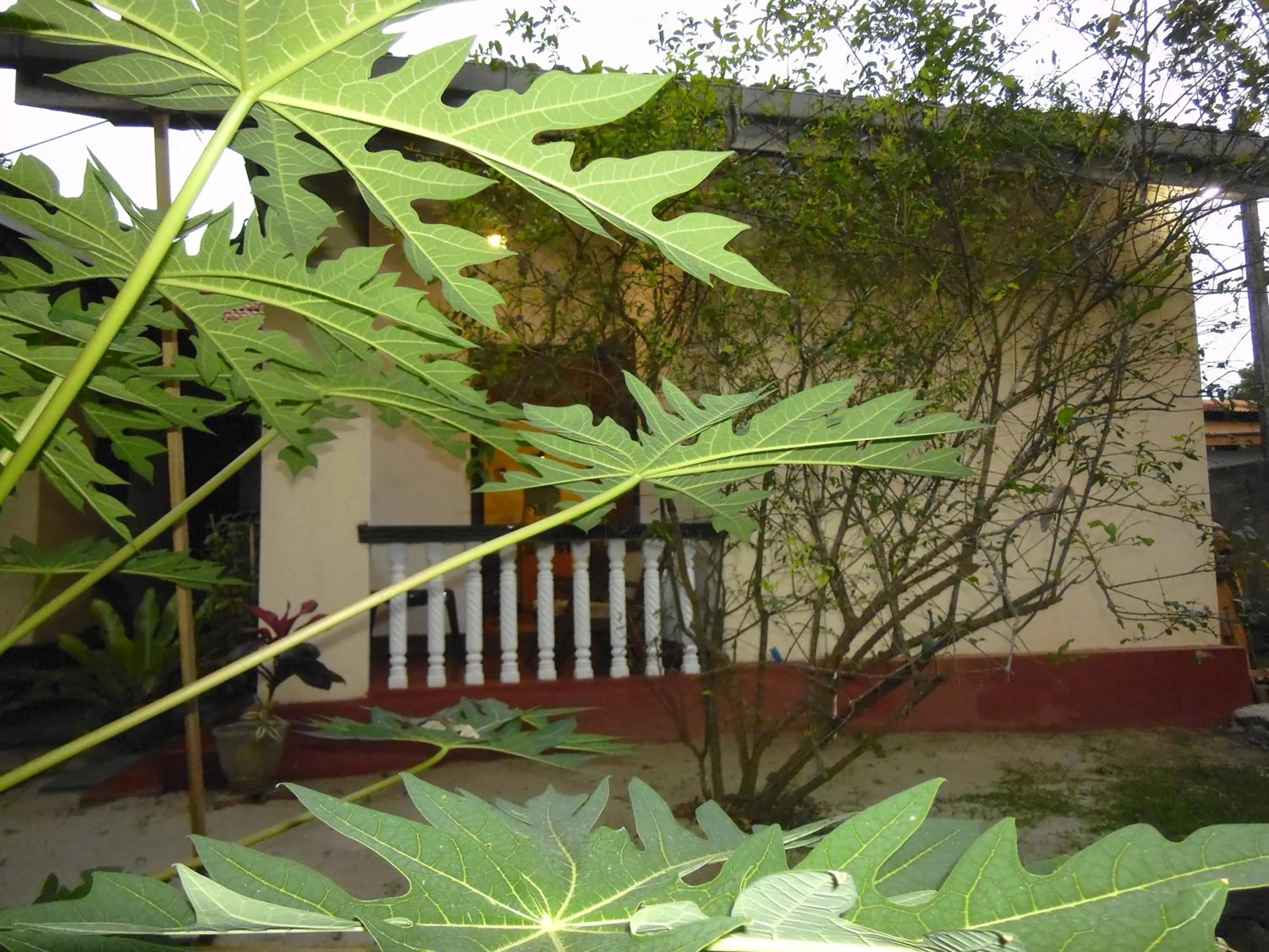 Property building in Mama's Hostel by Taprobane