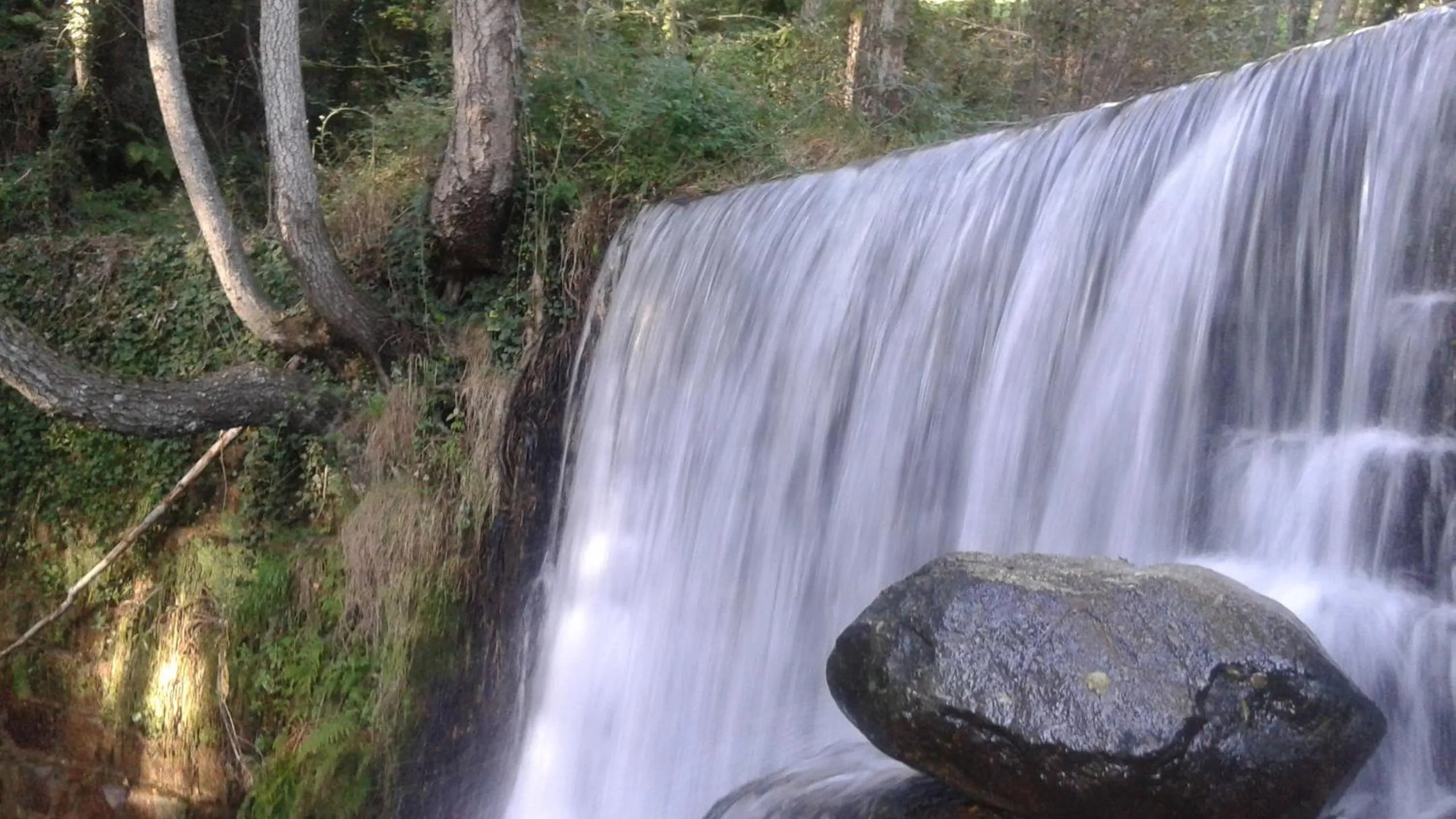 Area and facilities in Hotel Barbacedo