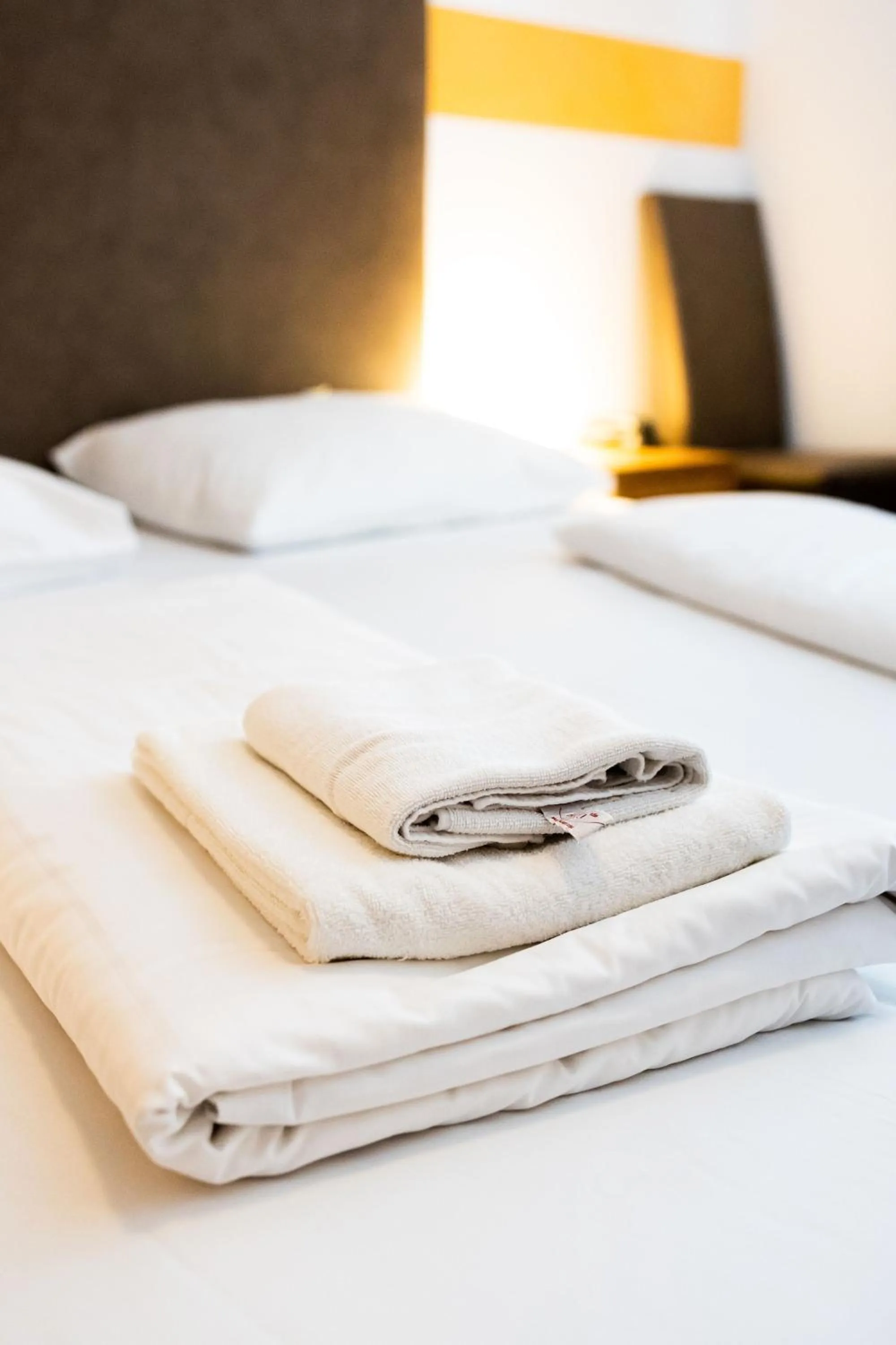 Bed in Lenas Donau Hotel