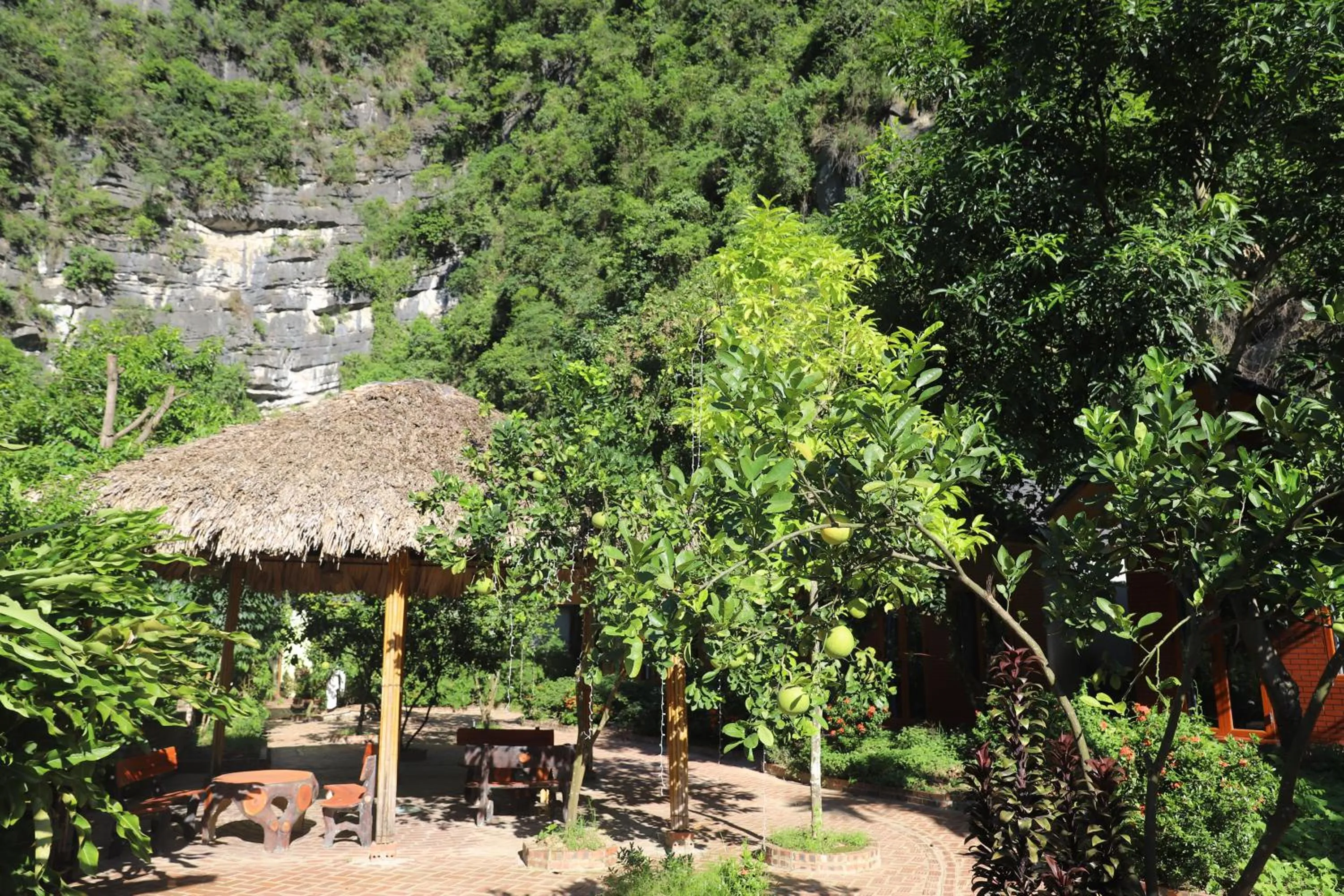 Natural landscape in Trang An River View Homestay