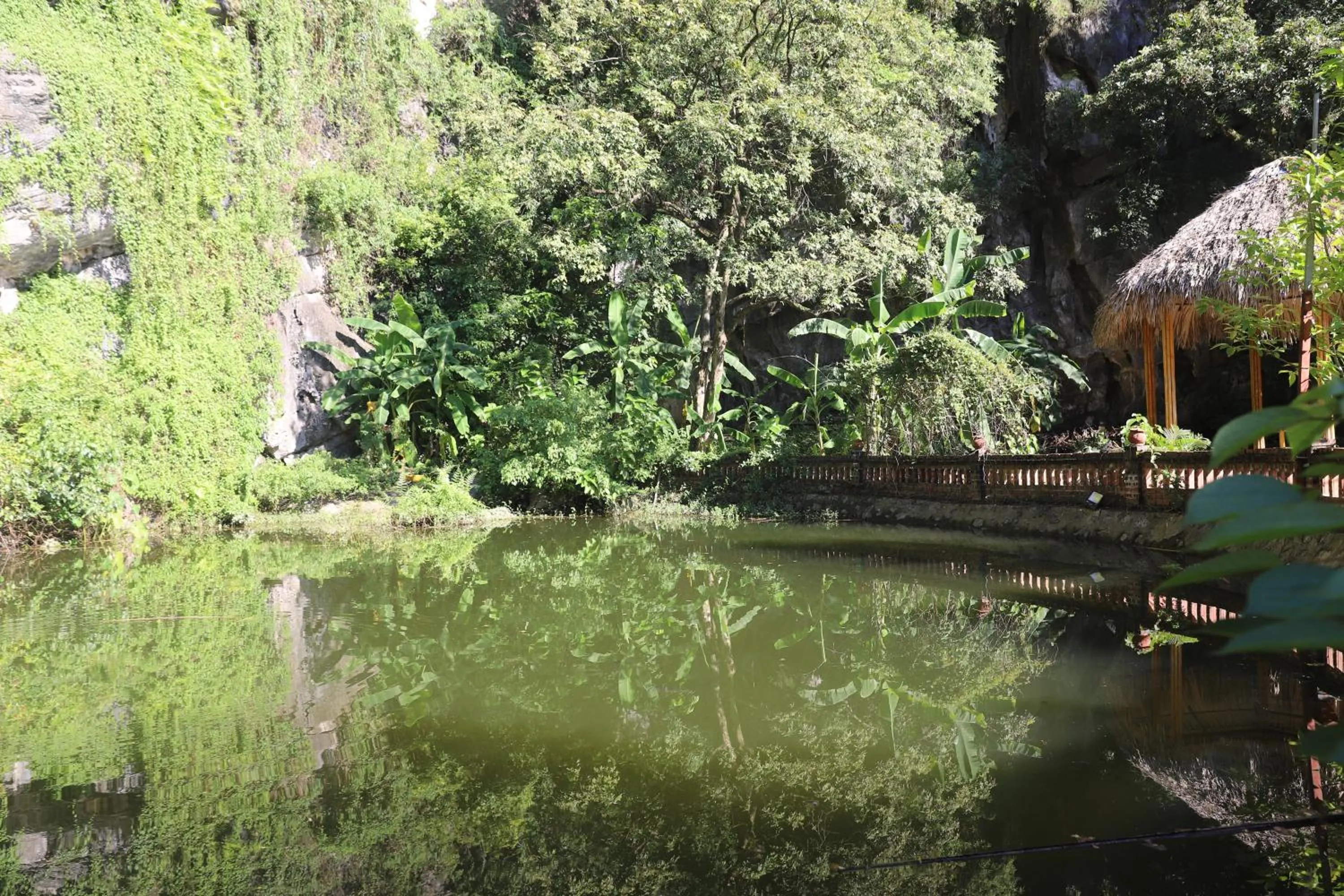 Natural landscape in Trang An River View Homestay