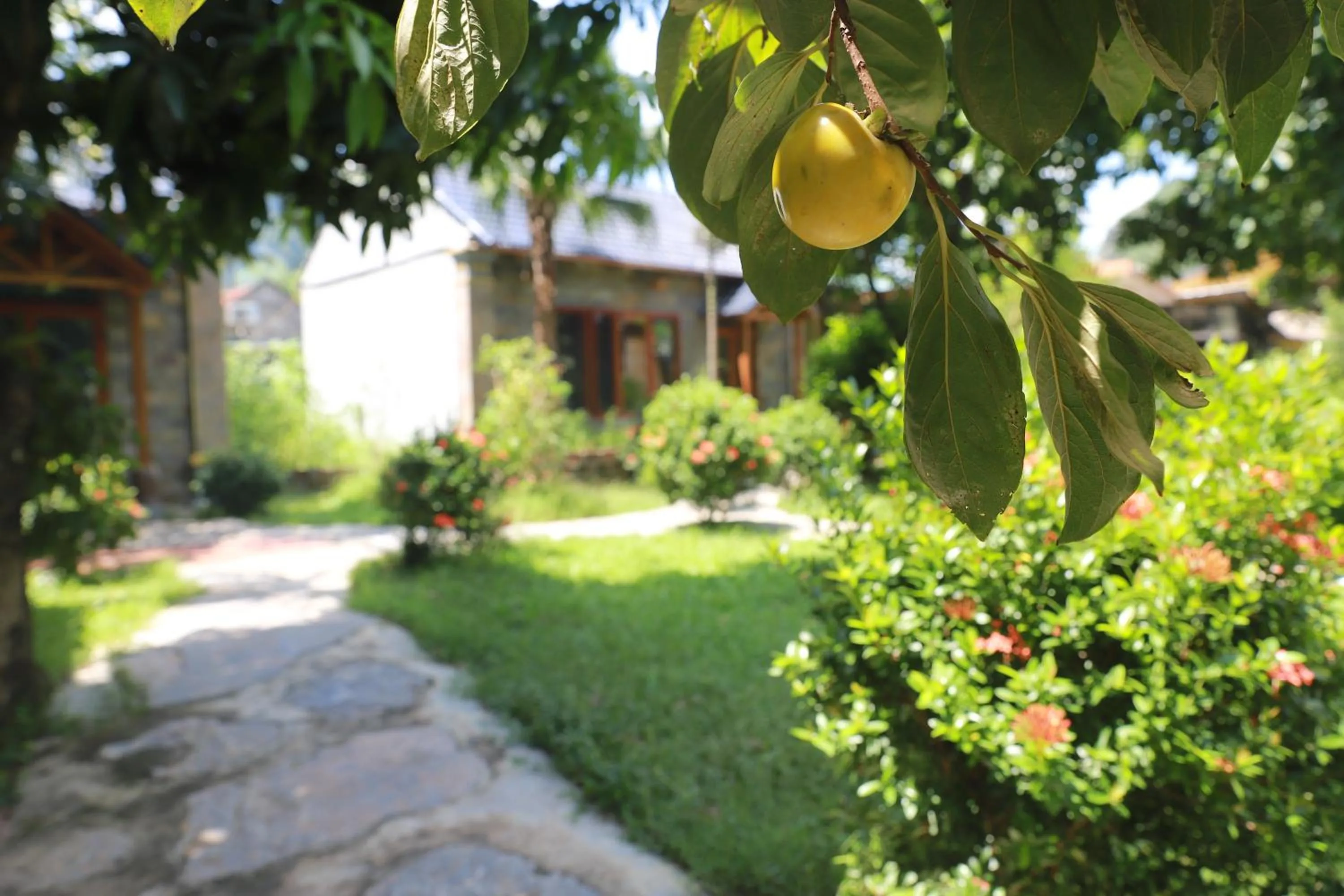 Garden in Trang An River View Homestay
