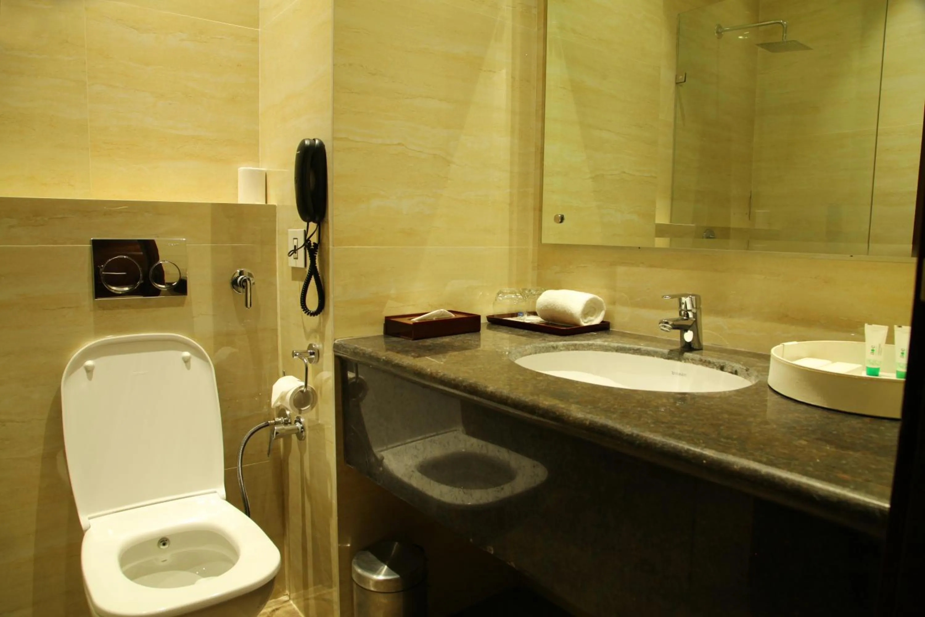 Bathroom in Hotel WJ Grand