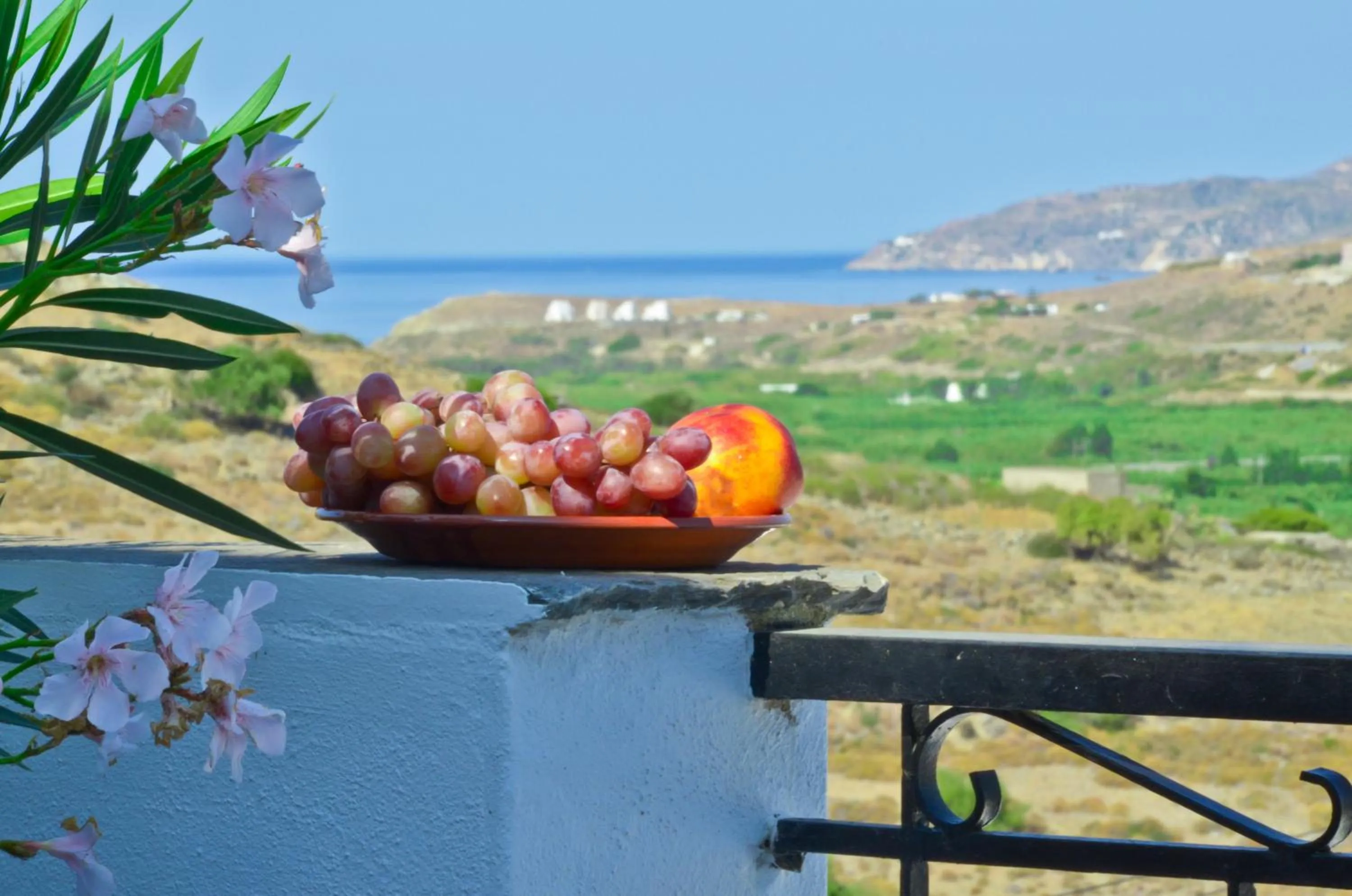 View (from property/room) in Naxos Filoxenia Hotel