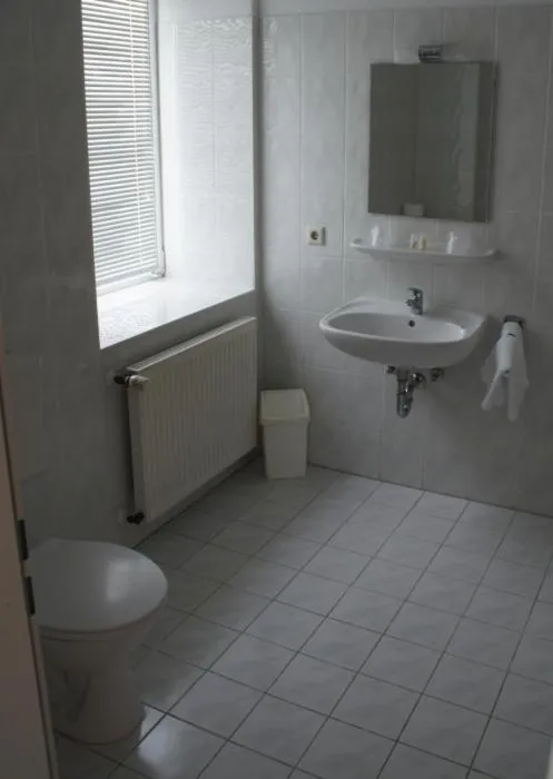 Bathroom in Landhotel Pagram-Frankfurt/Oder
