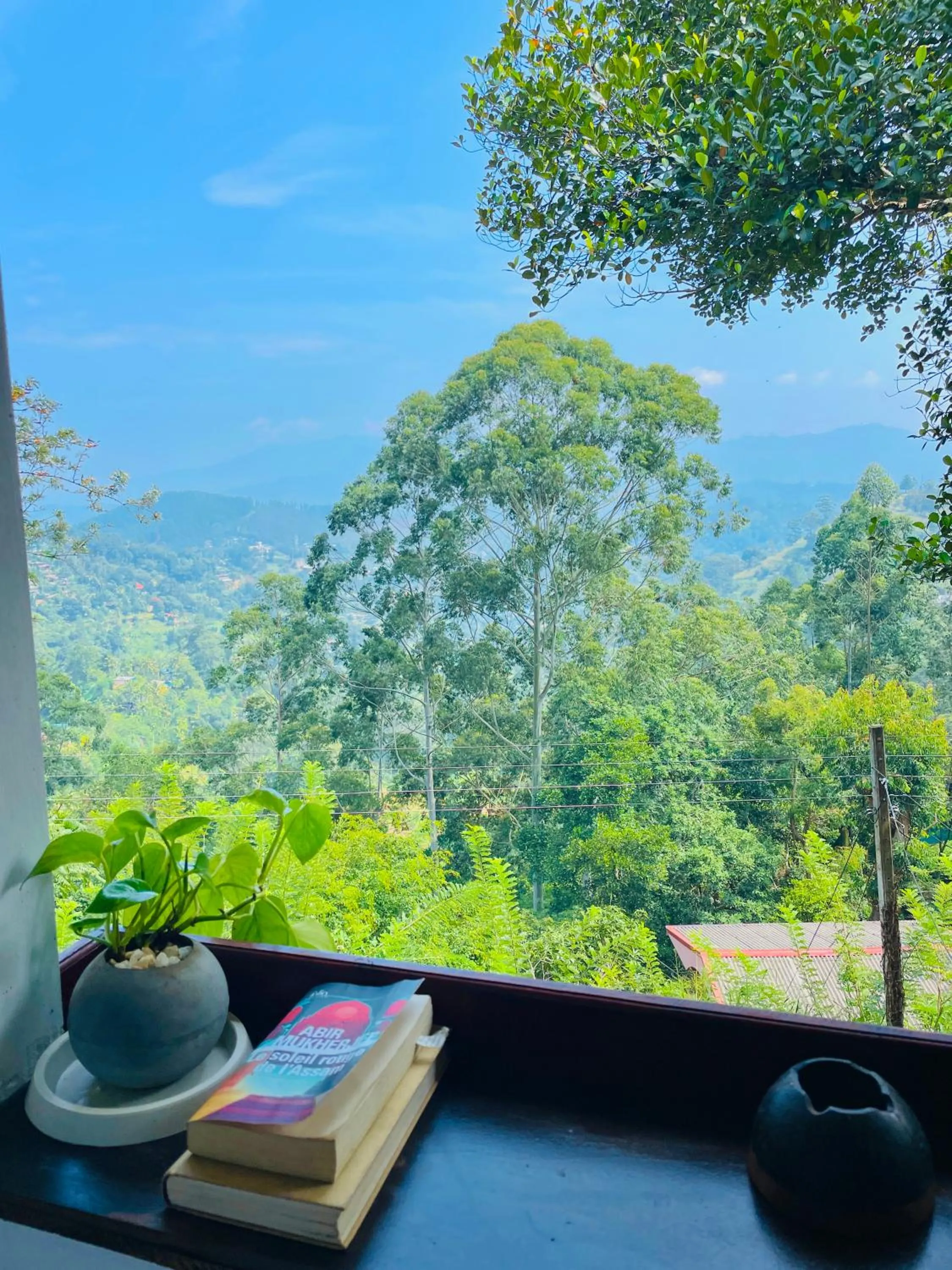 View (from property/room) in Pleasant View Ella