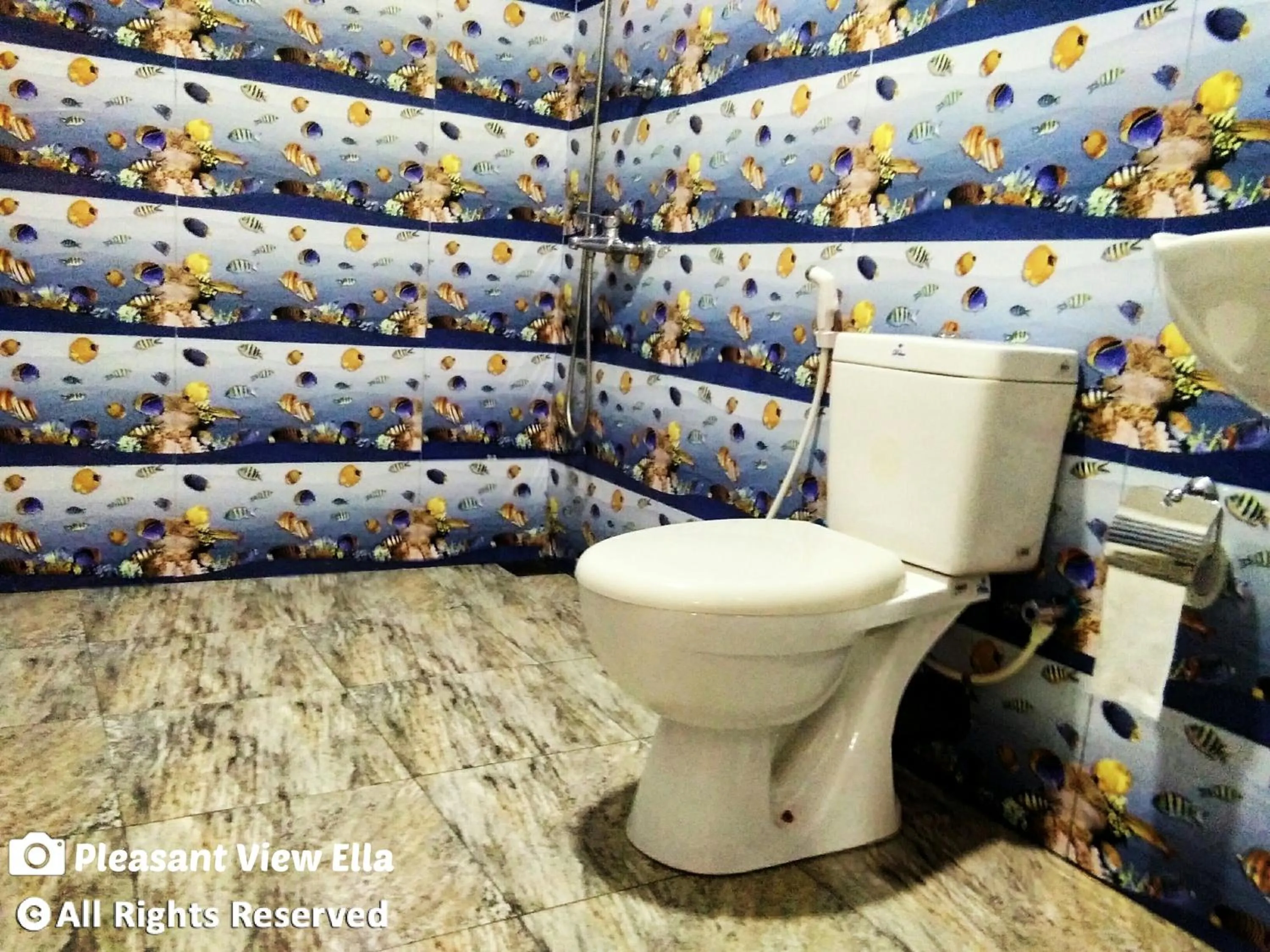 Bathroom in Pleasant View Ella