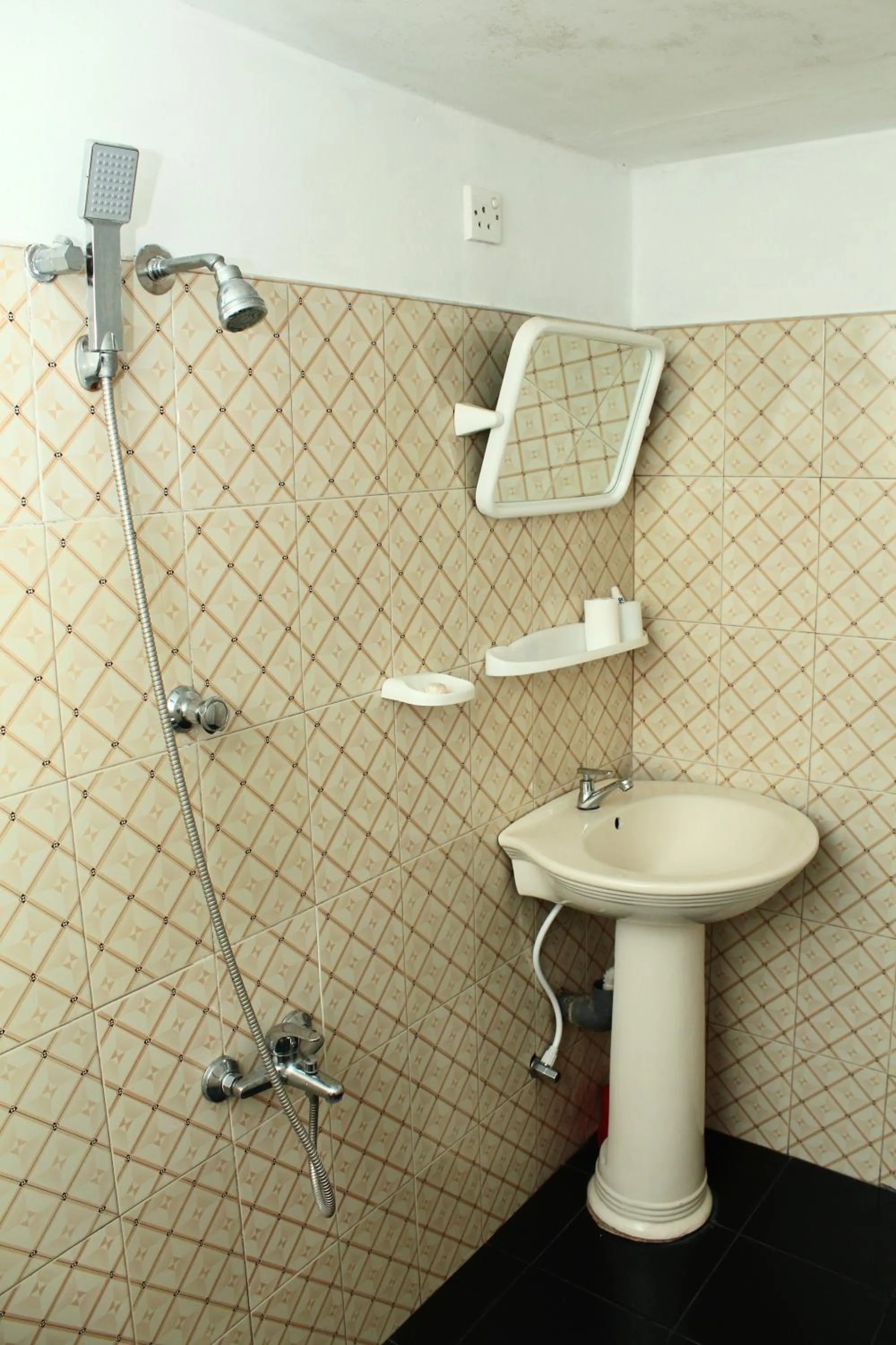 Toilet in Pleasant View Ella